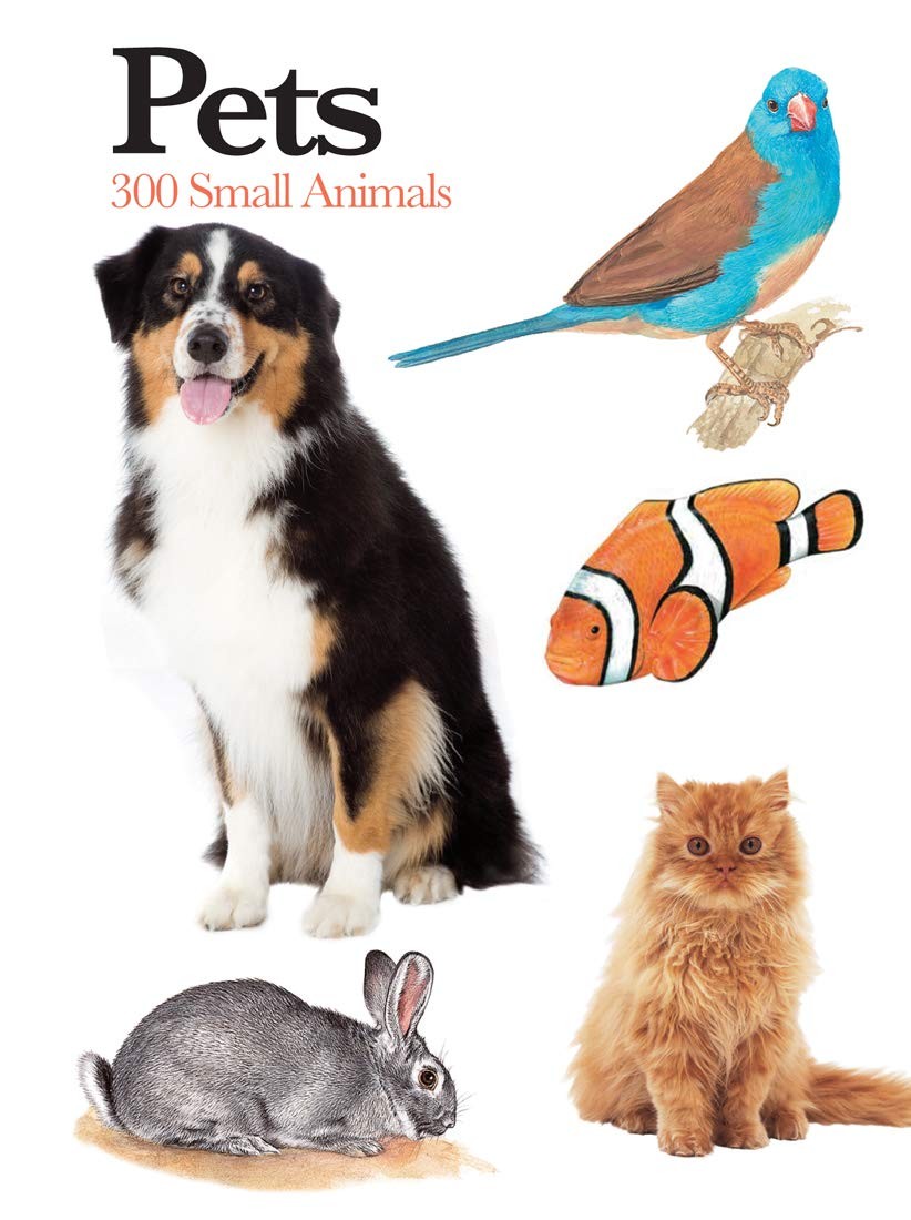 Pets: 300 Small Animals (Mini Expert Guides) – flexibound Martin, Claudia