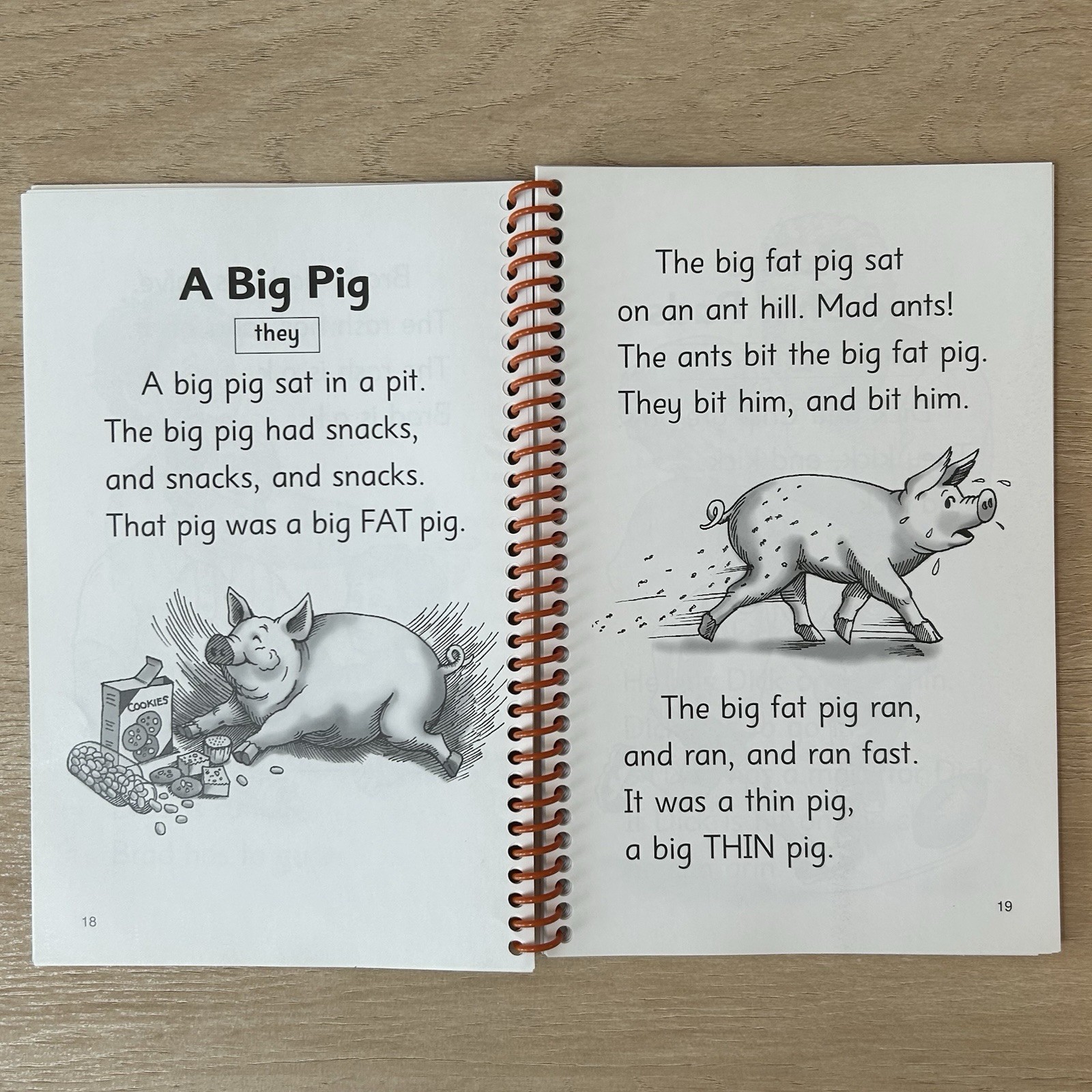 Go Phonics The Fat Cat Short Vowel Stories Level 2 Decodable Reader Book