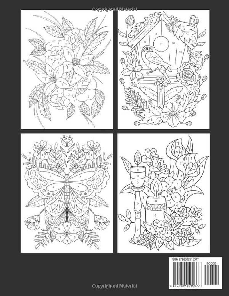Color By Number 2025 New Adult Coloring Book: Large Print Color By Number Colori