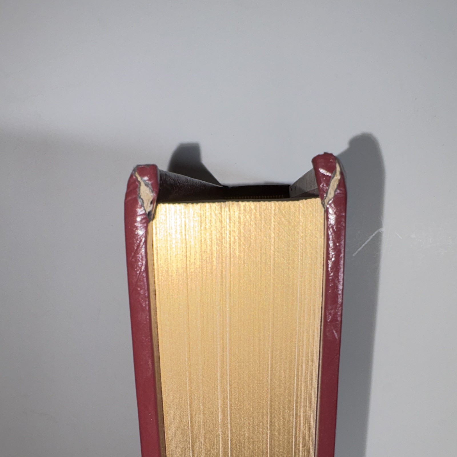 Thomas Kinkade Holy Bible Lighting the Way Home NKJV Red Letter Hardcover