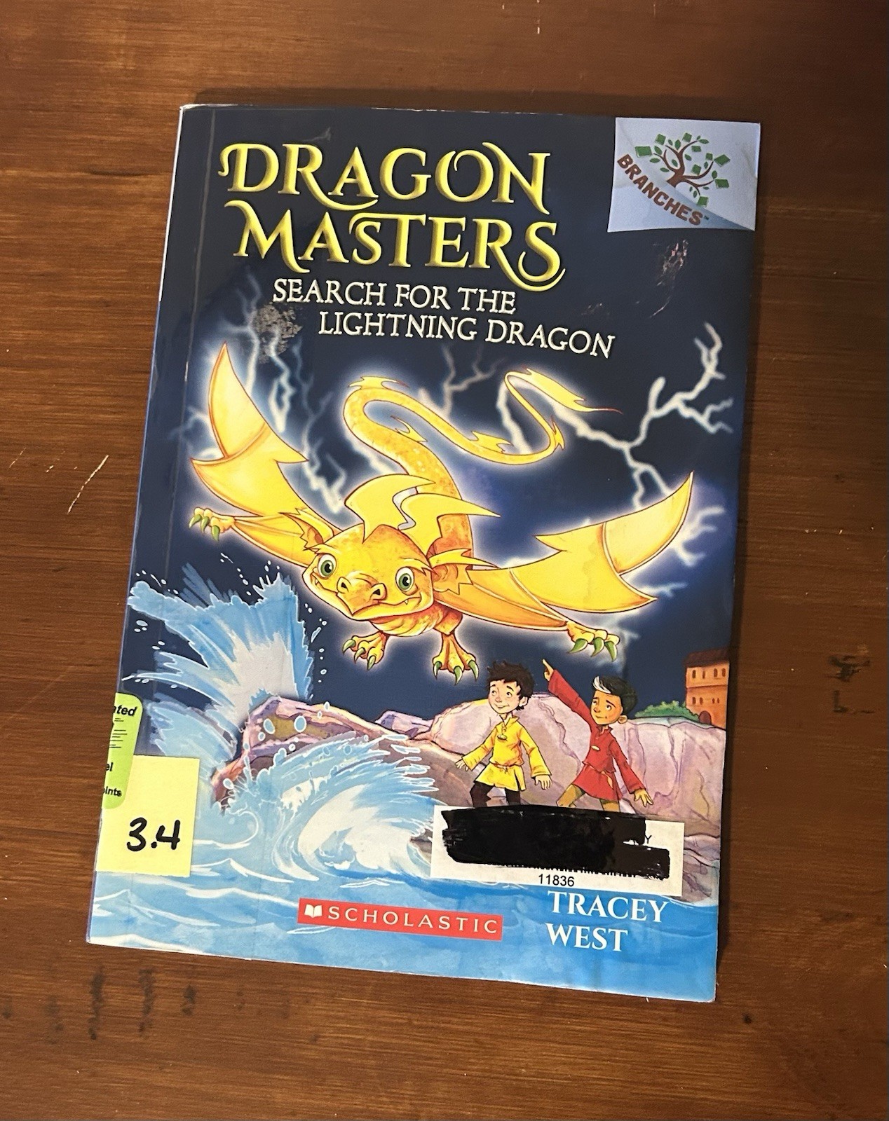 Dragon Masters Books 3,4,5,7 Branches Early Chapter Books Tracey West