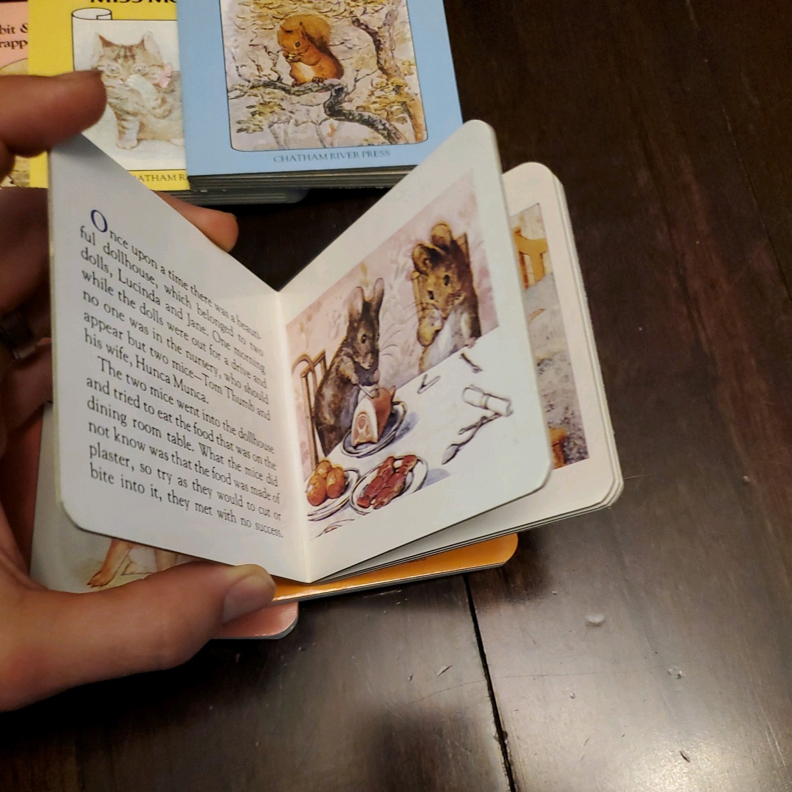Set Of 12 Vintage Beatrix Potter and Little Treasury of Peter Rabbit