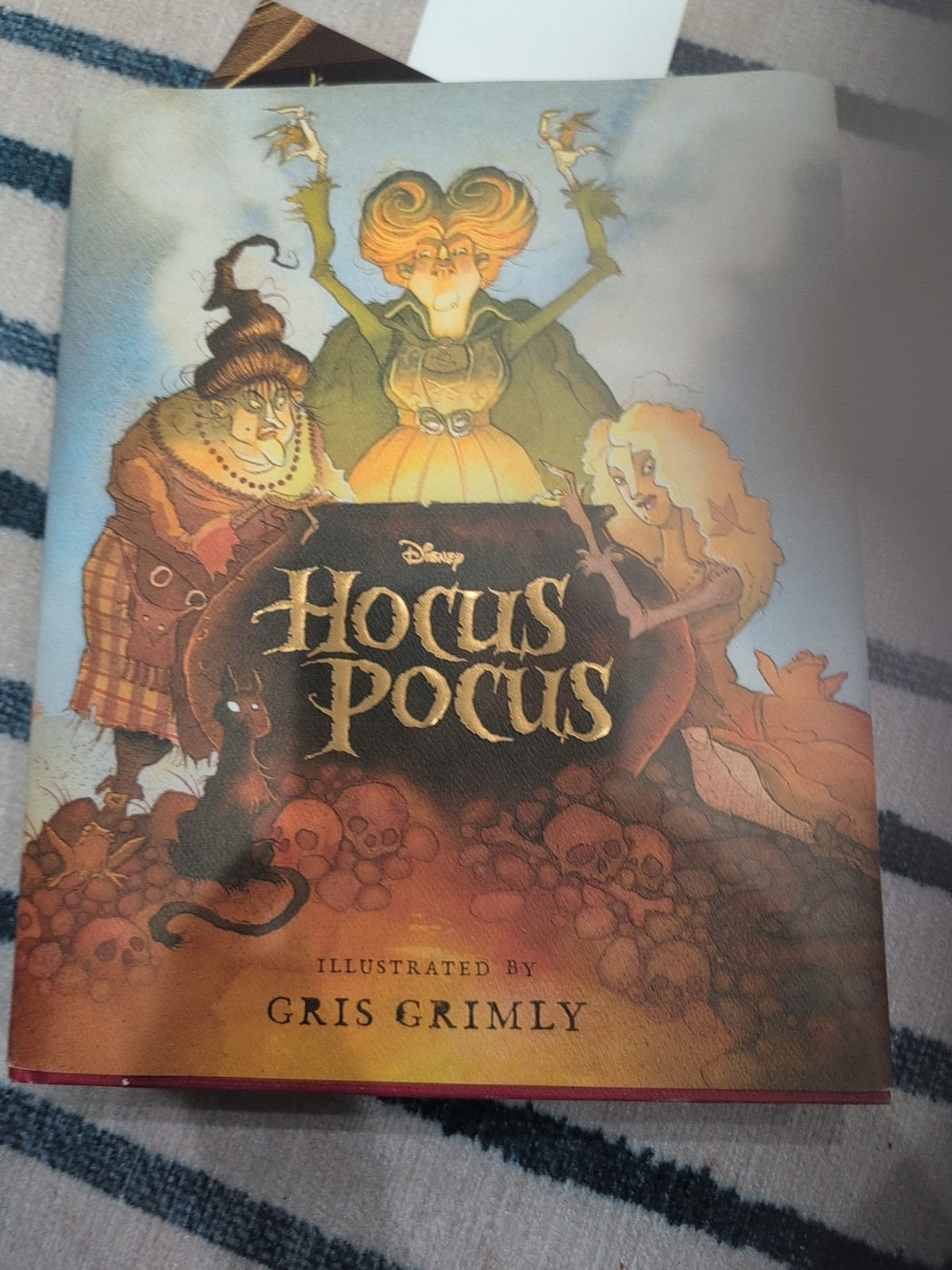 Hocus Pocus: the Illustrated Novelization And a Harry Potter Illustrated Book