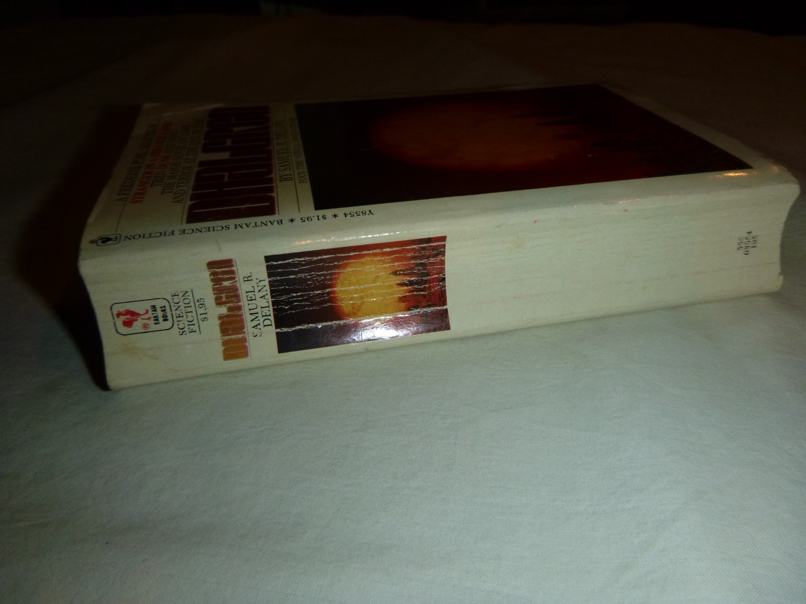 Dhalgren by Samuel R. Delany 1975 10th Printing Bantam Vintage Paperback