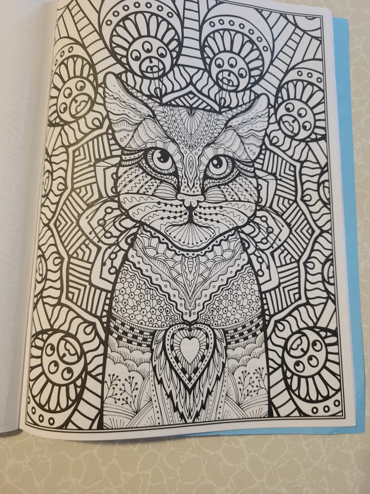 CAT COLORING – 32 Inspiring Designs for Adults -Relax & Enjoy -Escape & Breathe