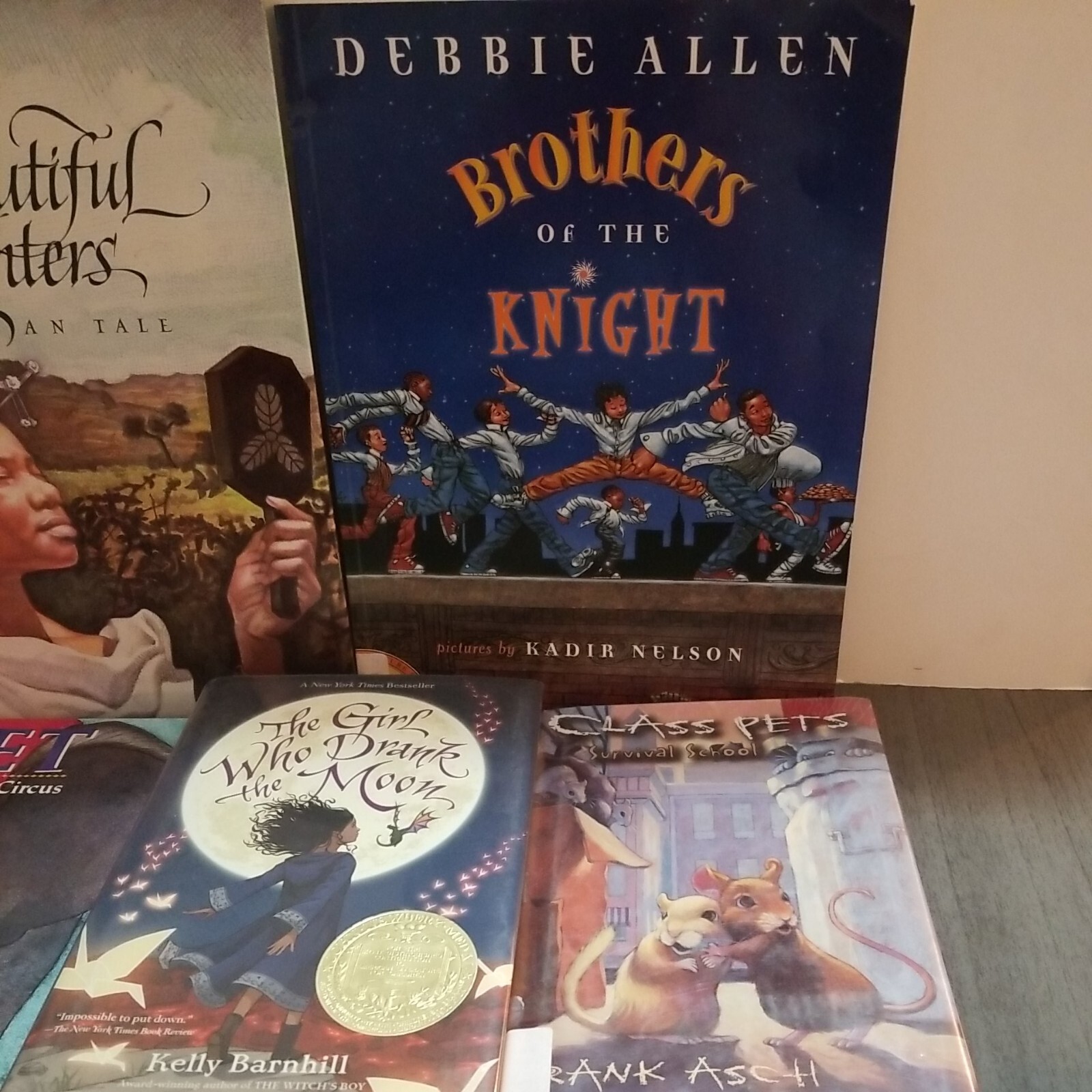 Lot of 10 Mixed Random Children’s Books and Young Adult Novels, Classic Stories