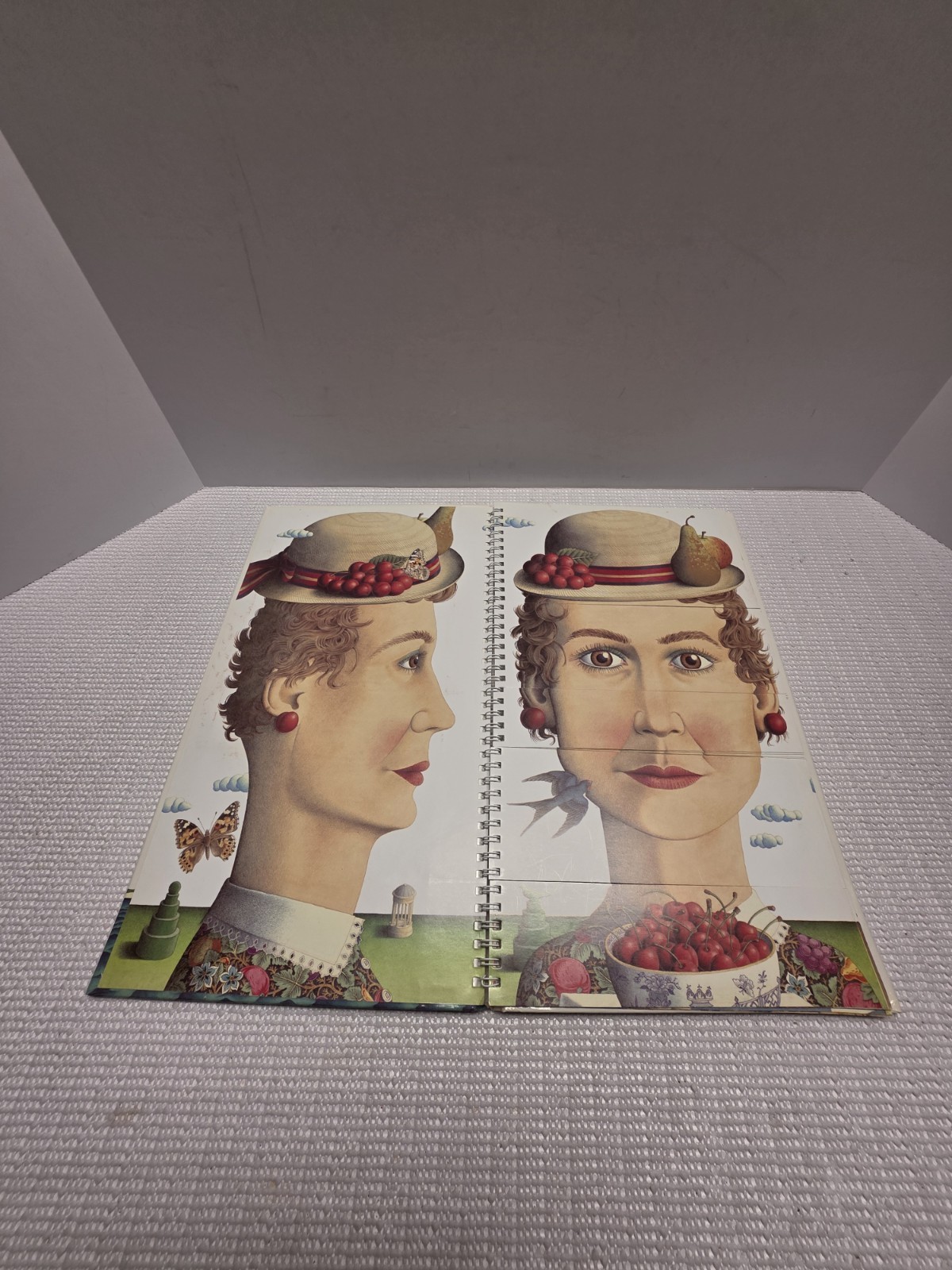 Making Faces & The Perfect Match DK HC 1st Editions Norman Messenger Anderson