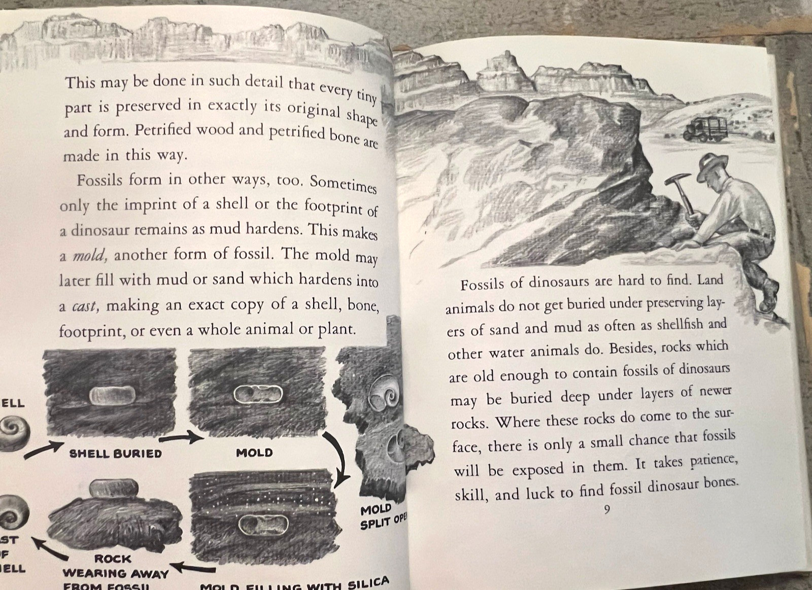 Dinosaurs by Herbert S. Zim Illus. by James Gordon Irving c.1976 Library Edition