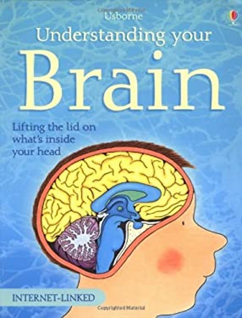 Understanding Your Brain Paperback Rebecca Treays