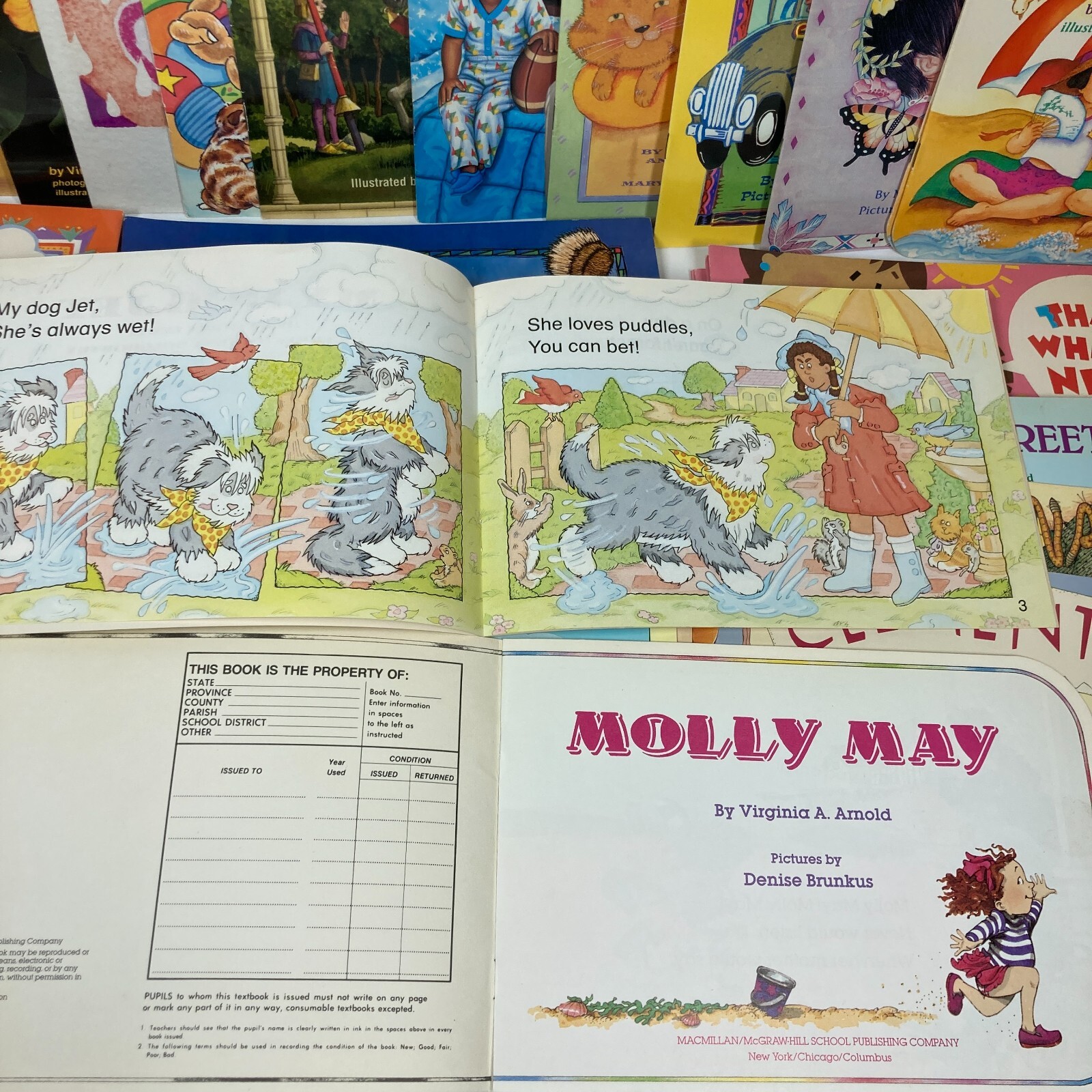 Lot Of 23 Early Reader Phonics Skill Paperback Single Copies Homeschool Tutoring
