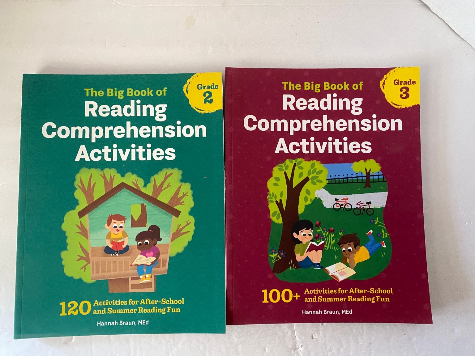 Big Book of Reading Comprehension Activities Grades 2 & 3 Hannah Braun Workbook