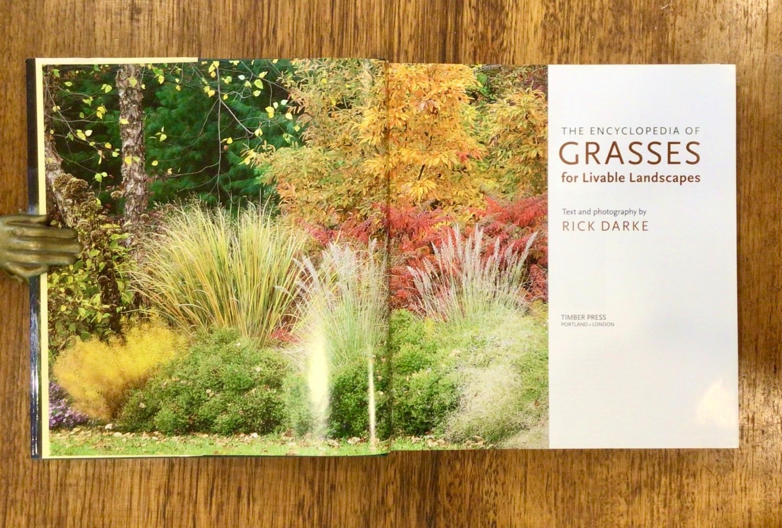 LANDSCAPING: RICK DARKE: The Encyclopedia of GRASSES for Livable Landscapes HBDJ