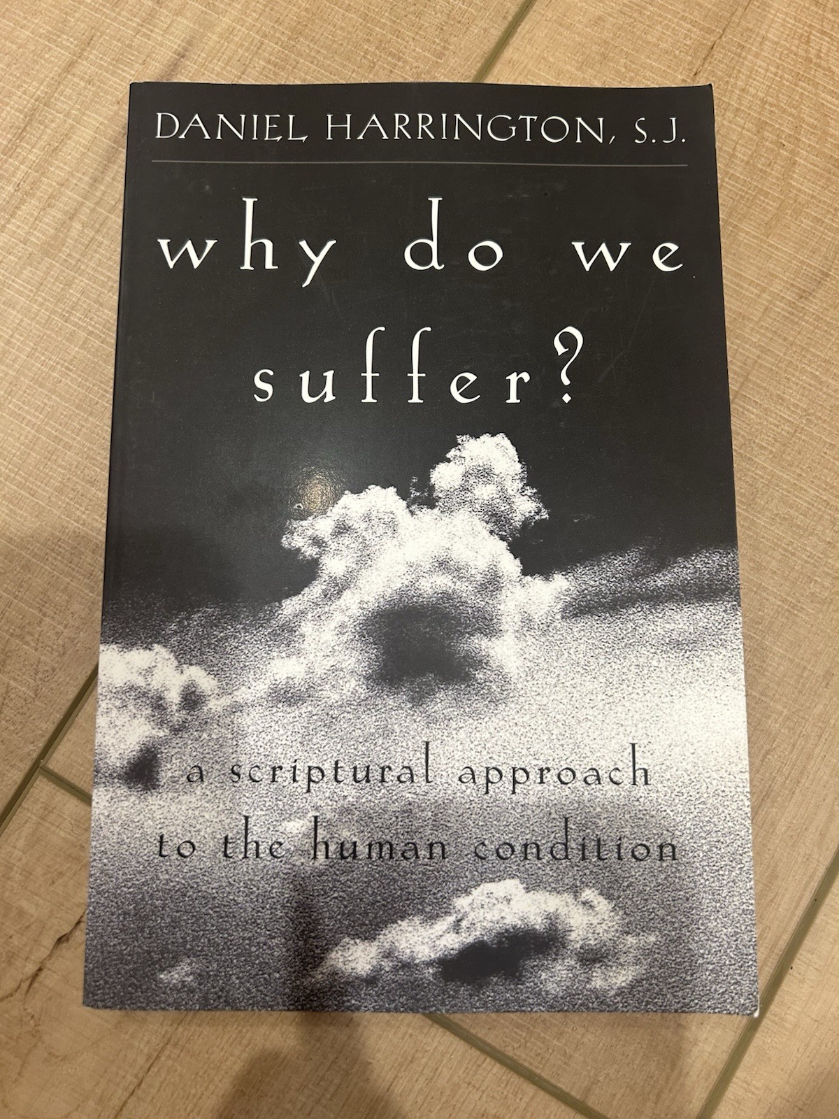 Why Do We Suffer?: A Scriptural Approach to the Human Condition by SJ
