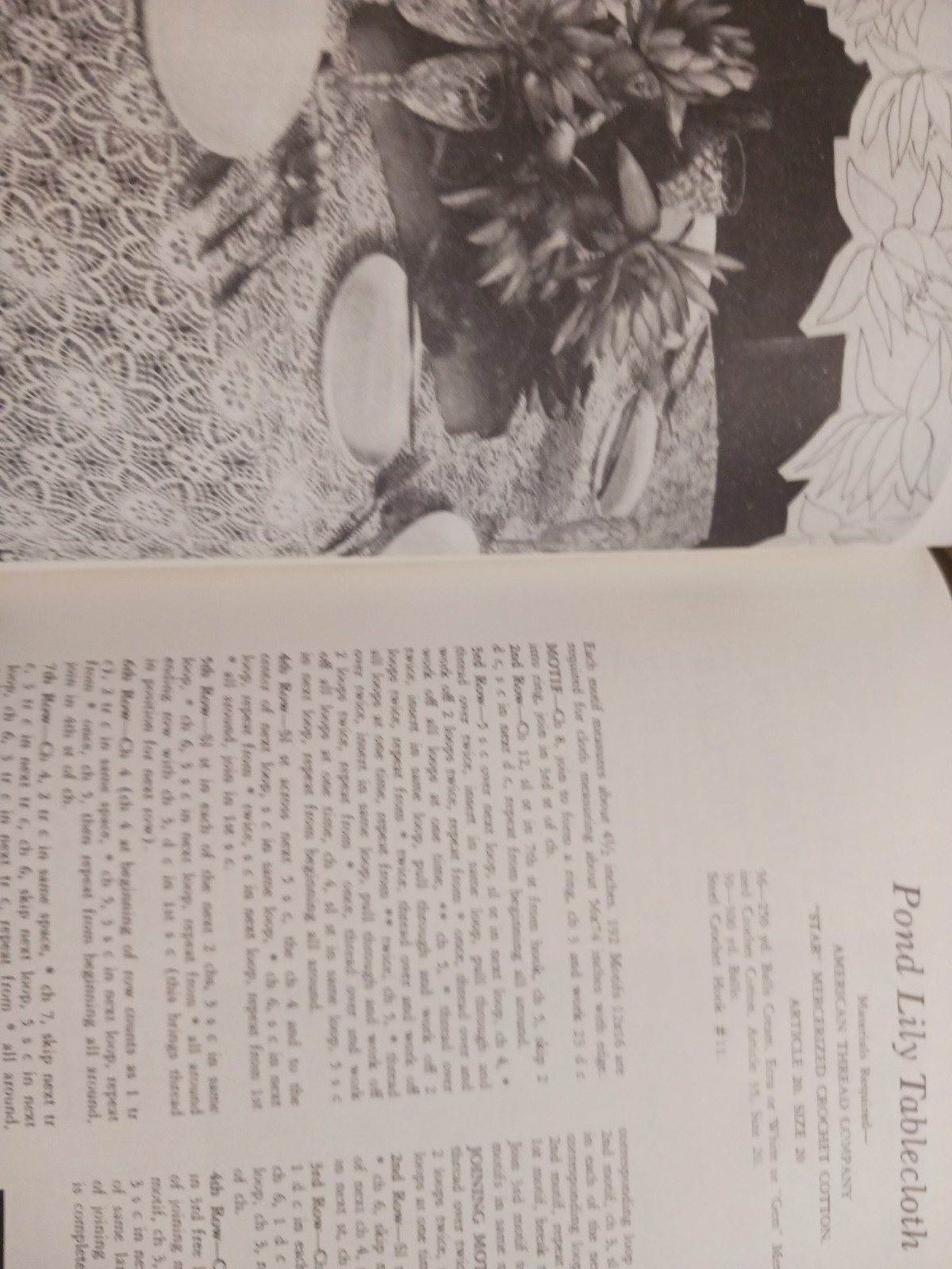 Masterpieces of Irish Crochet Lace: Tech, Patterns & Crocheters Treasure Chest