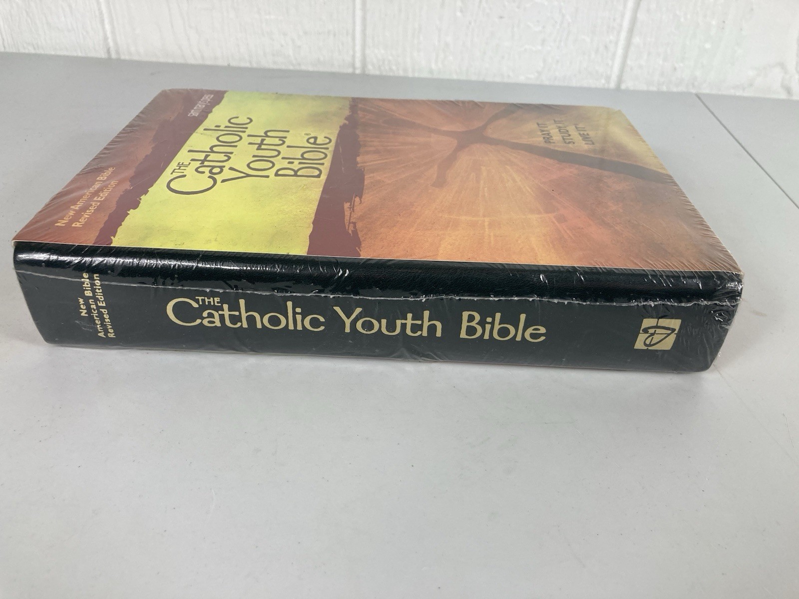 The Catholic Youth Bible Saint Mary’s Press New American Bible Revised Edition