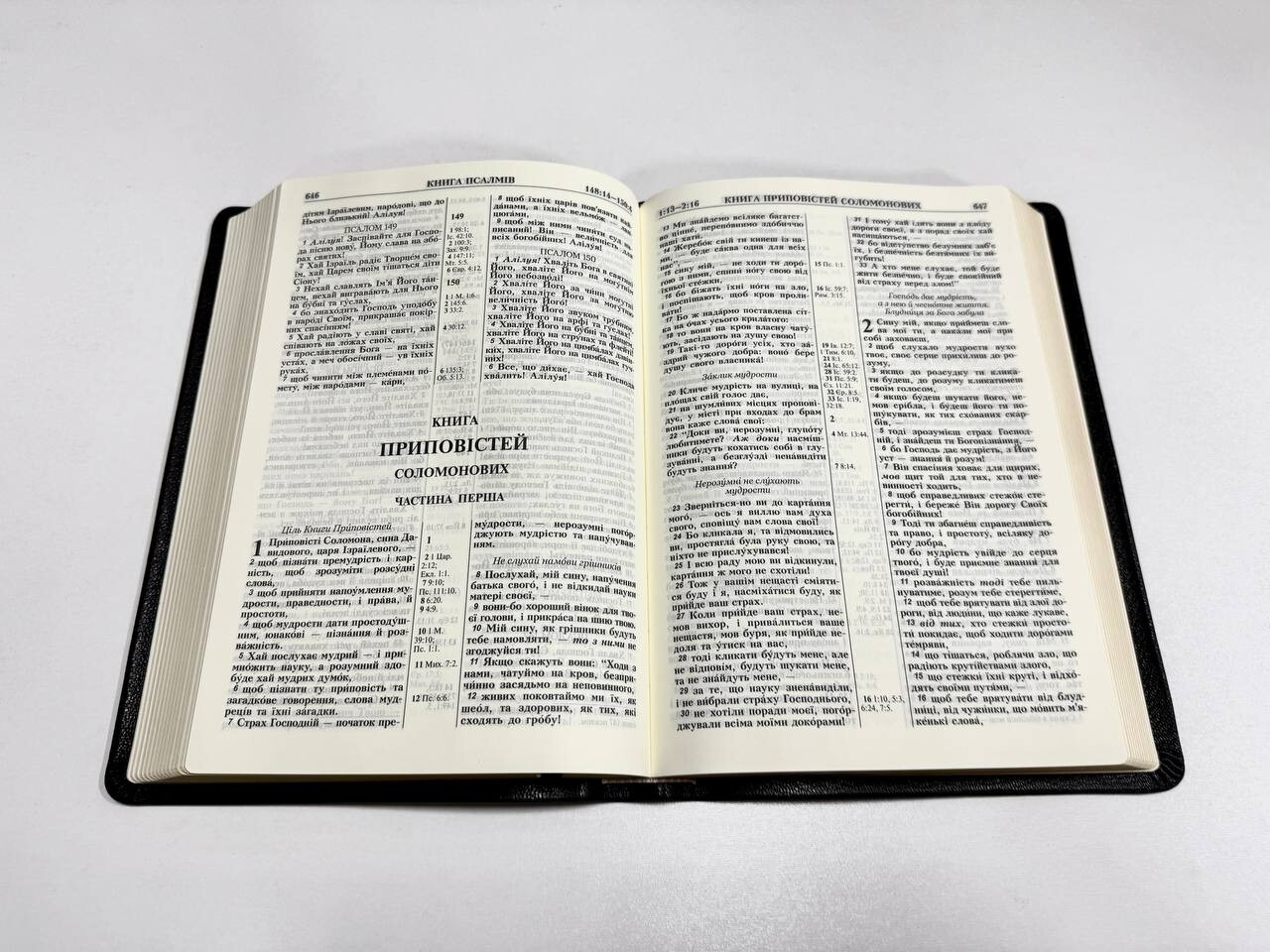 UKRAINIAN Bible black cover NEW 24x17cm Українська Біблія