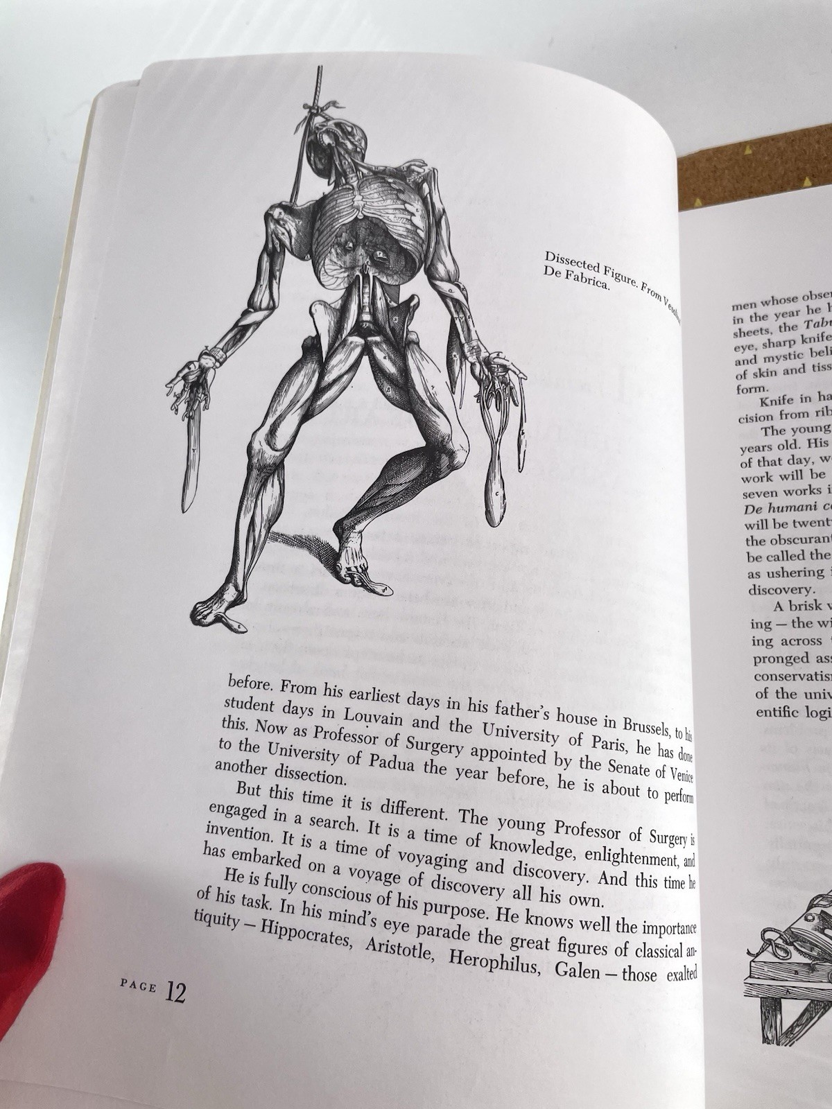 VTG 1990 Dynamic Anatomy SC Burne Hogarth Measurements Proportions Anatomical