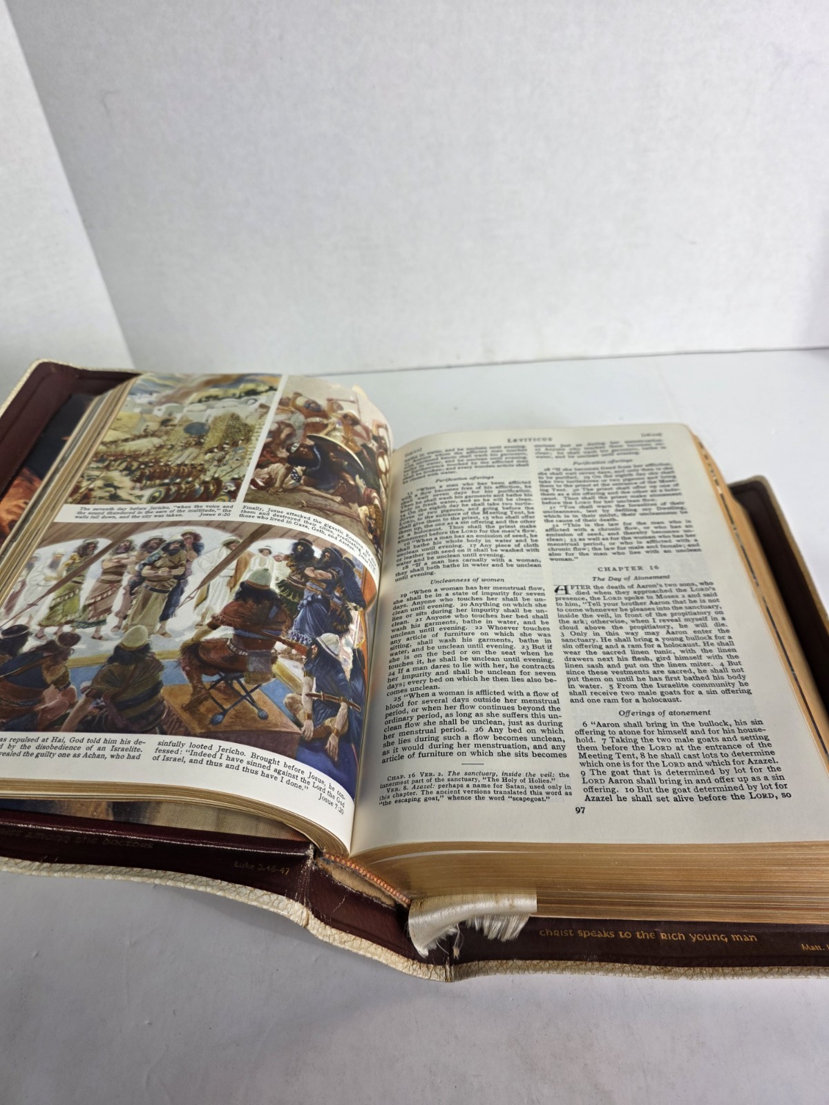 HOLY BIBLE 1958 Catholic Press HOLY ANGELS DELUXE EDITION Illustrated