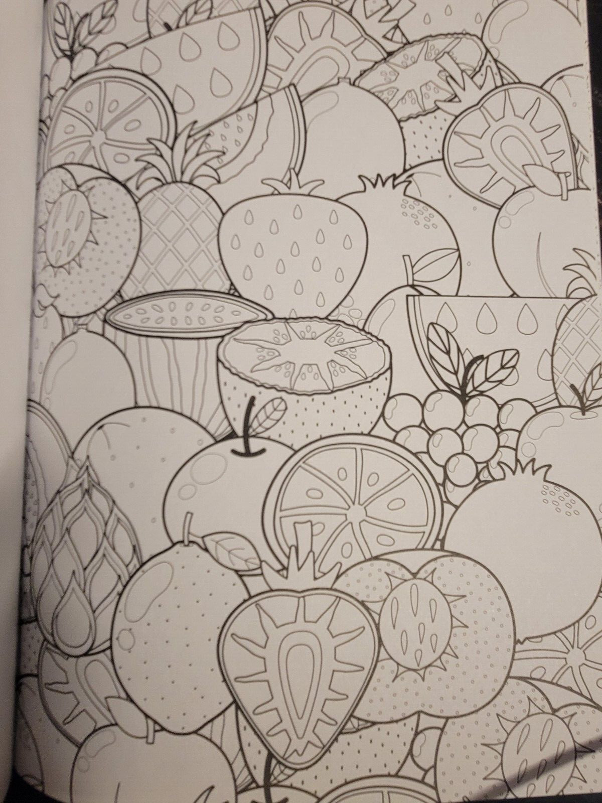 COLOR ME MAGNIFICENT Vol 12 Adult Coloring Book With 47 Prints Ready To Frame