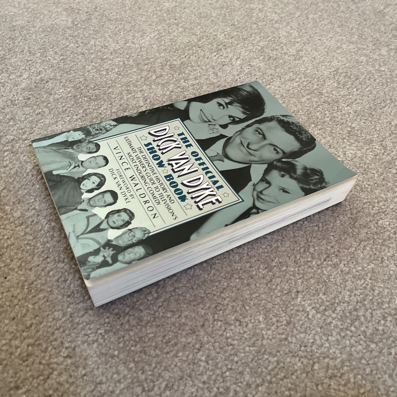 The Official Dick Van Dyke Show Book by Vince Waldron (1994, Paperback)