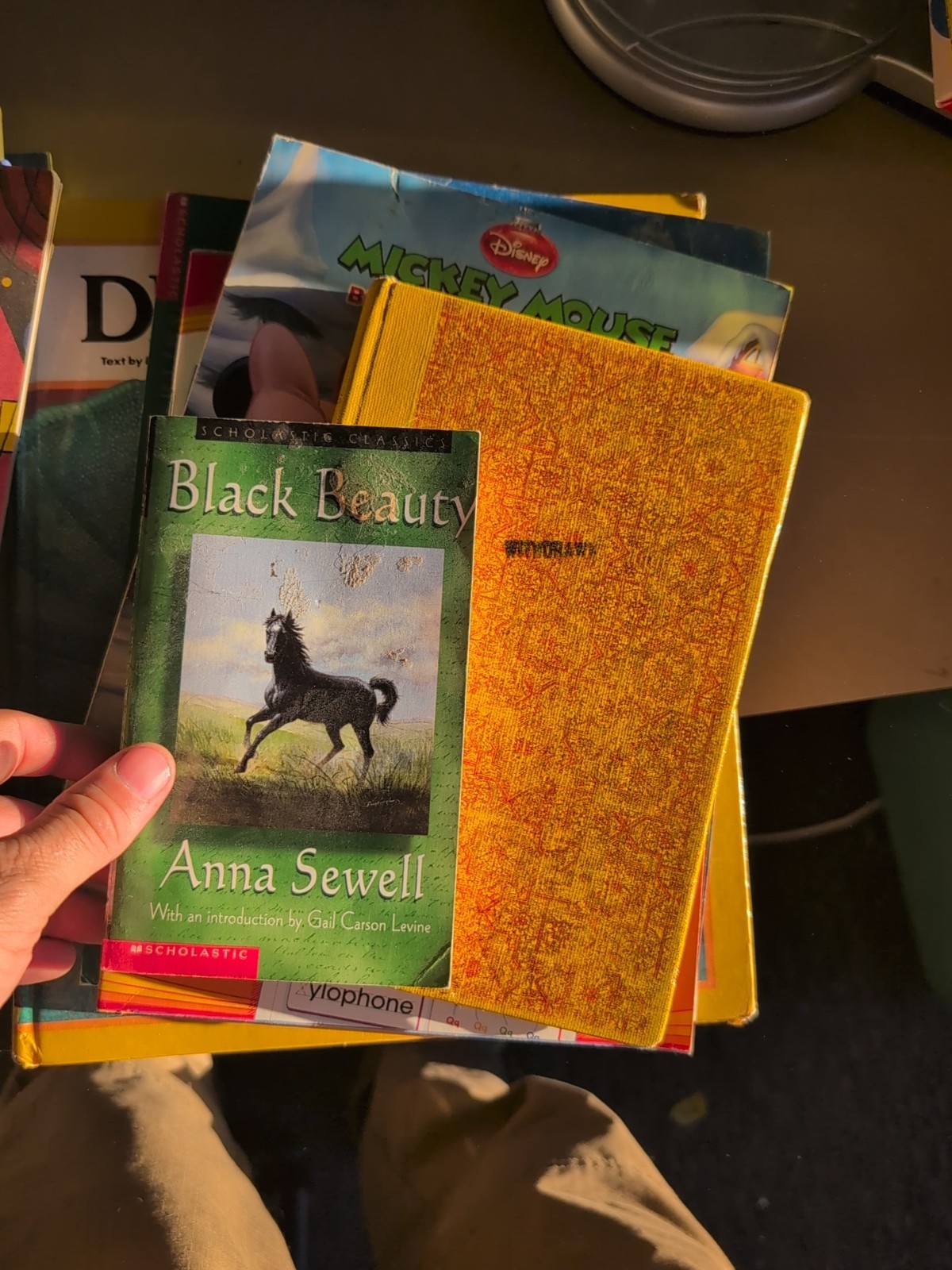Lot of 48 Chapter INSTANT LIBRARY Childrens Book Daycare Home Schoolers NICE