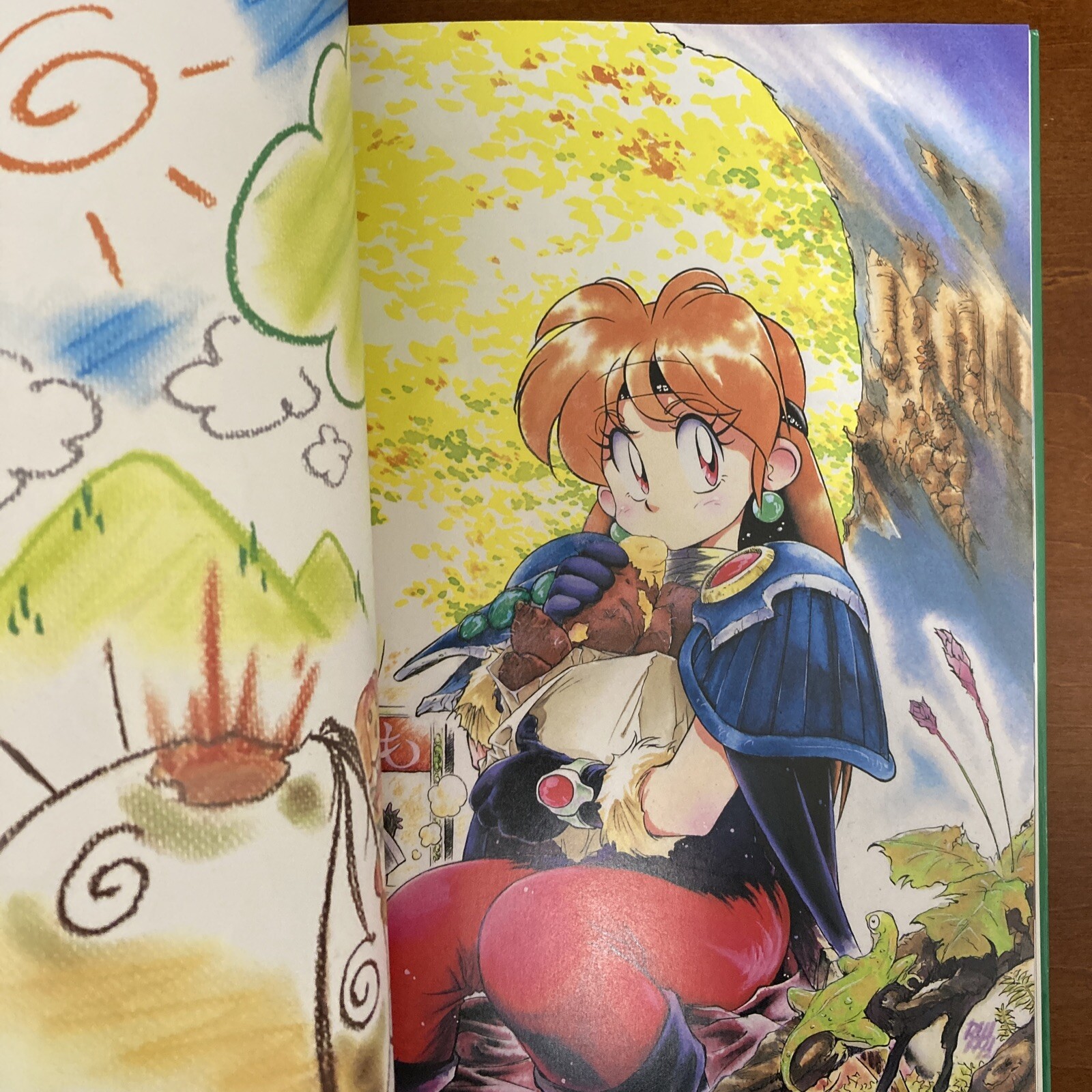 Slayers DRA-MATA Rui Araizumi Art Book Illustration