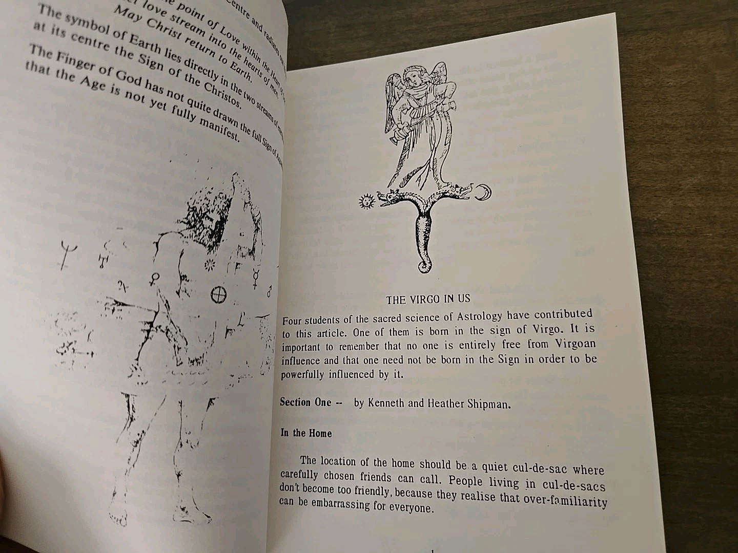 Virgo Astrology Guide. Paperback 58 Pages