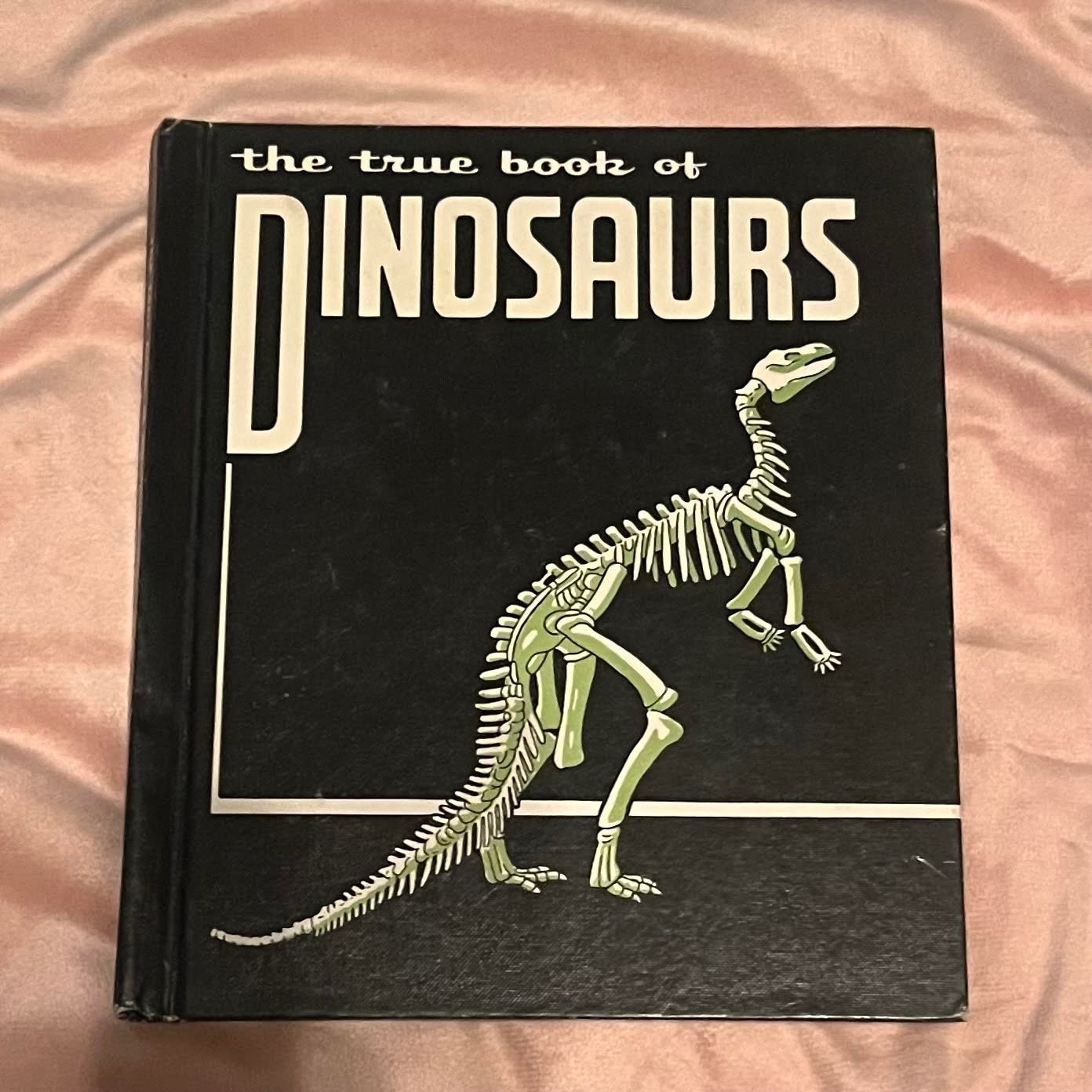 Fun 7 picture book set, K-2, animals, dinosaurs! Steig, Lionni, Eastman lot
