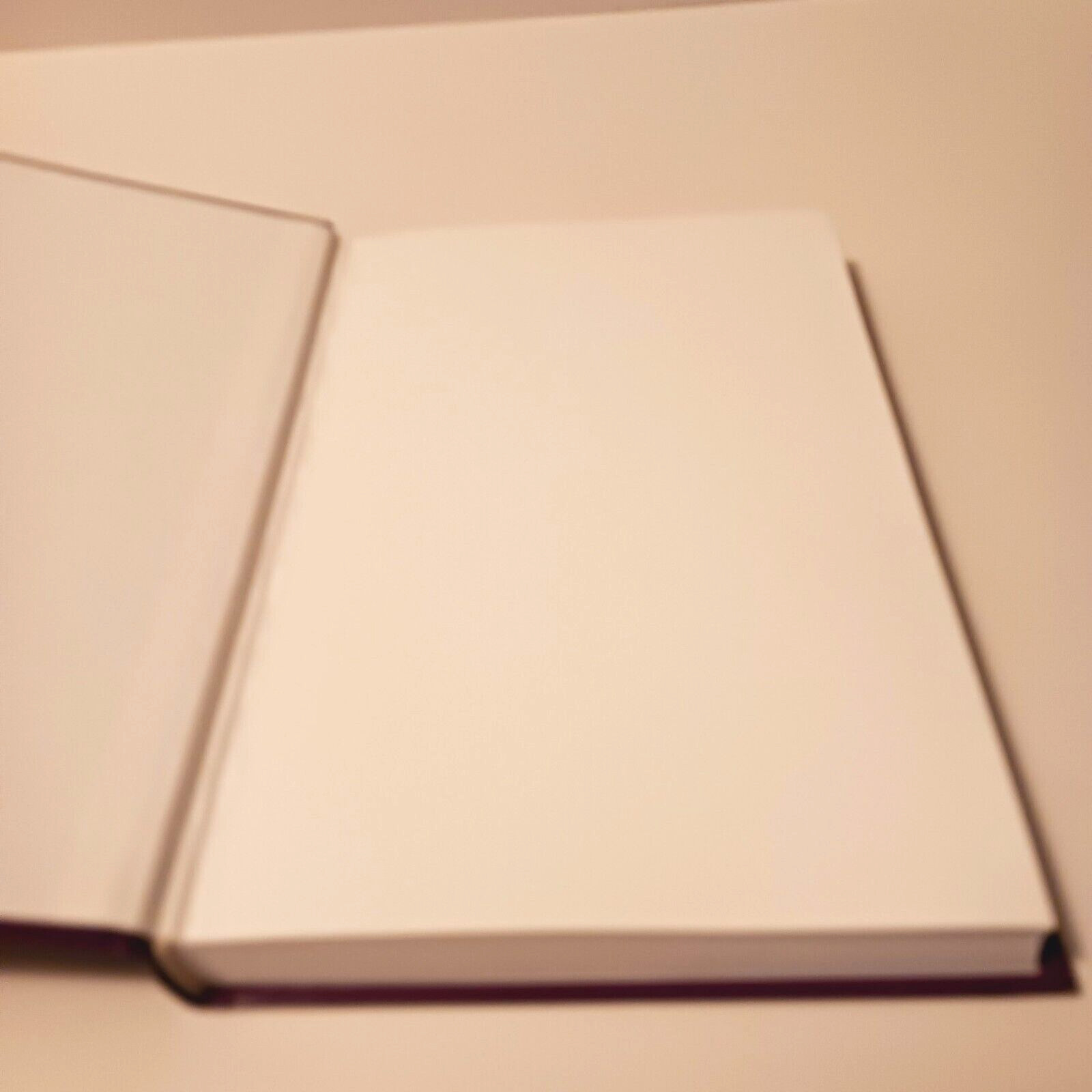 Treating Attachment Abuse: A Compassionate Approach, Hardcover, 1995