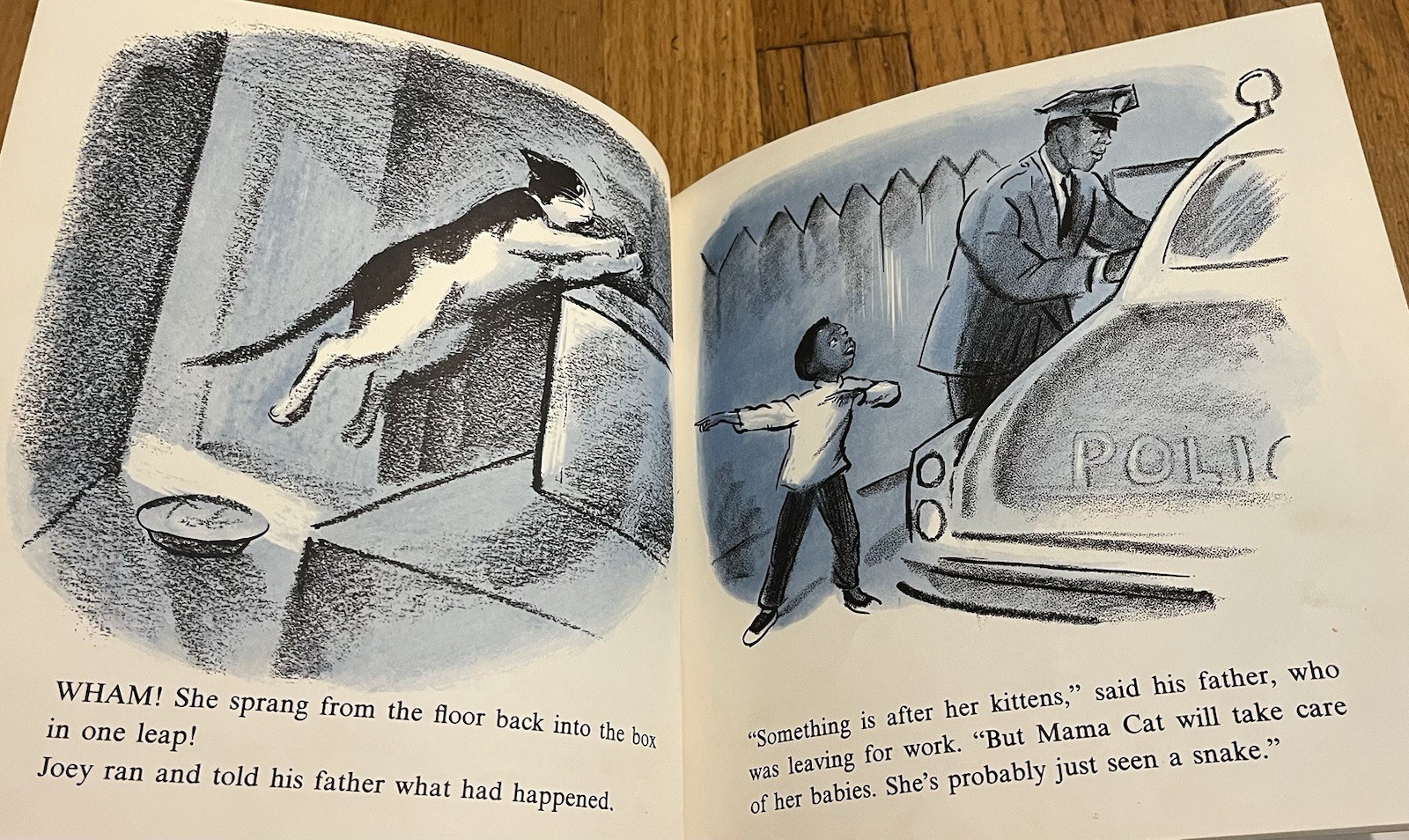 JOEY’S CAT : by Robert Burch : illus Don Freeman : vintage