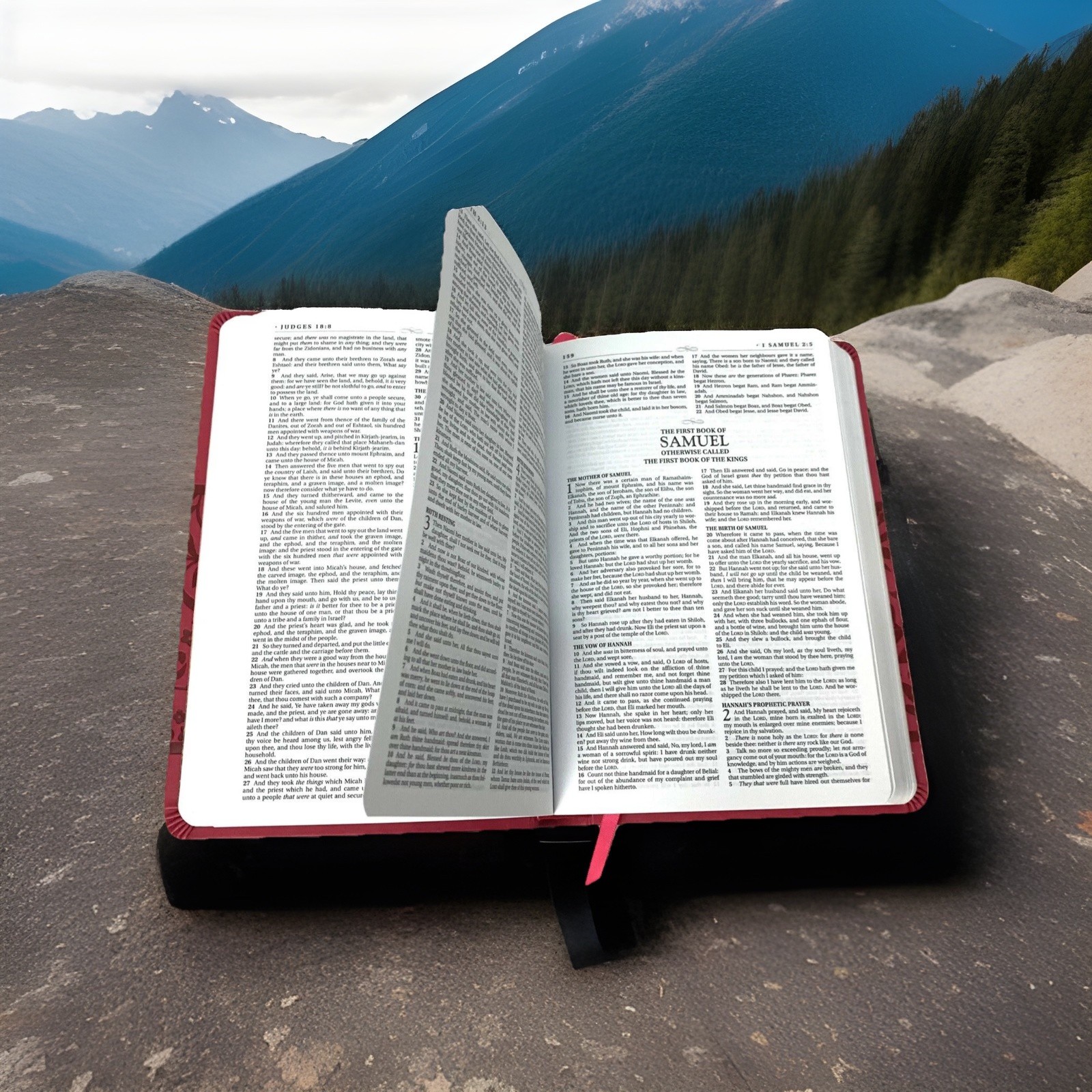 King James Version Holy Bible Imitation Leather Small Print in English