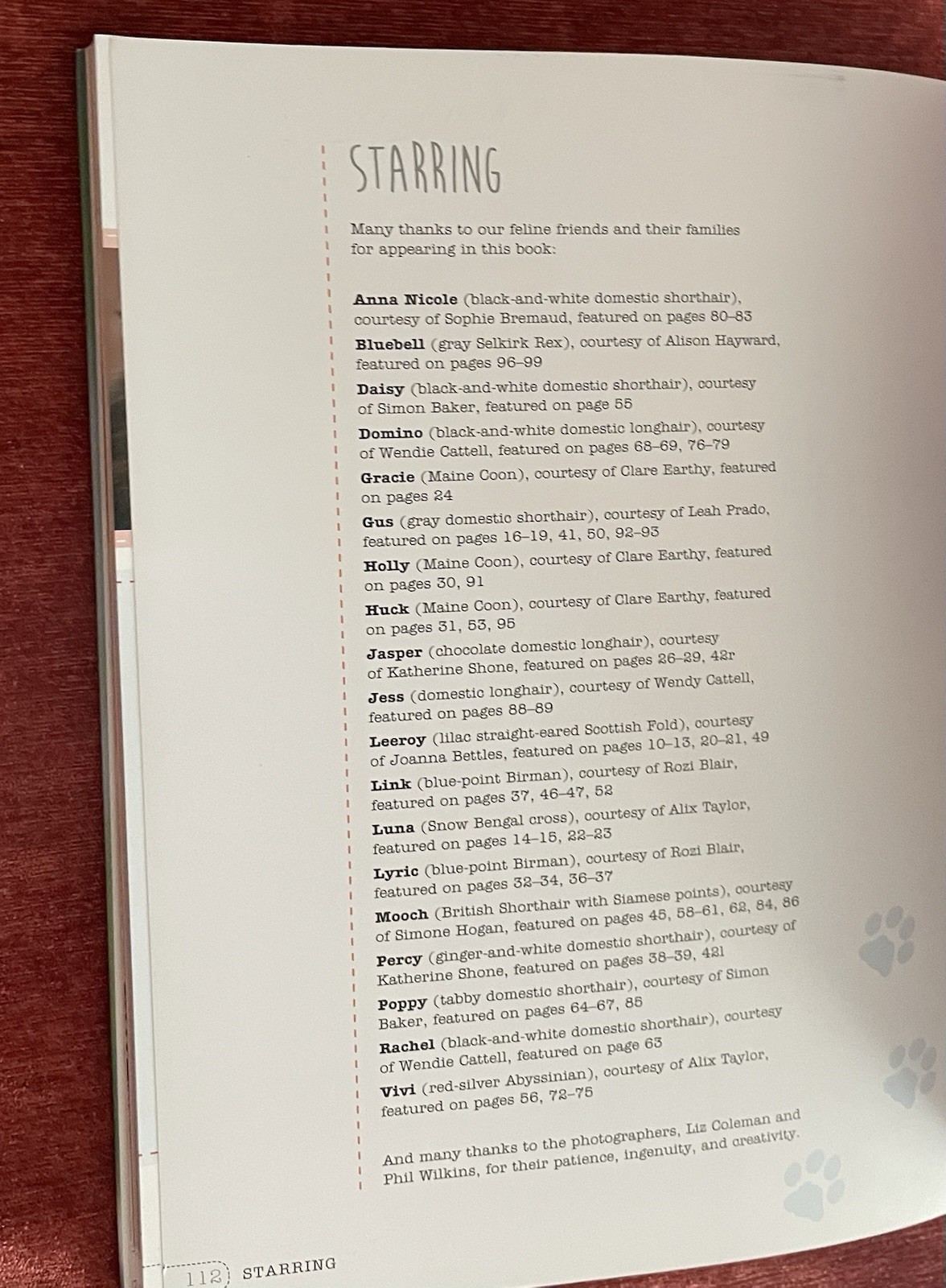 Cats in Hats: 30 Knit & Crochet Patterns for Your Kitty- Sara Thomas EUC PB 2015