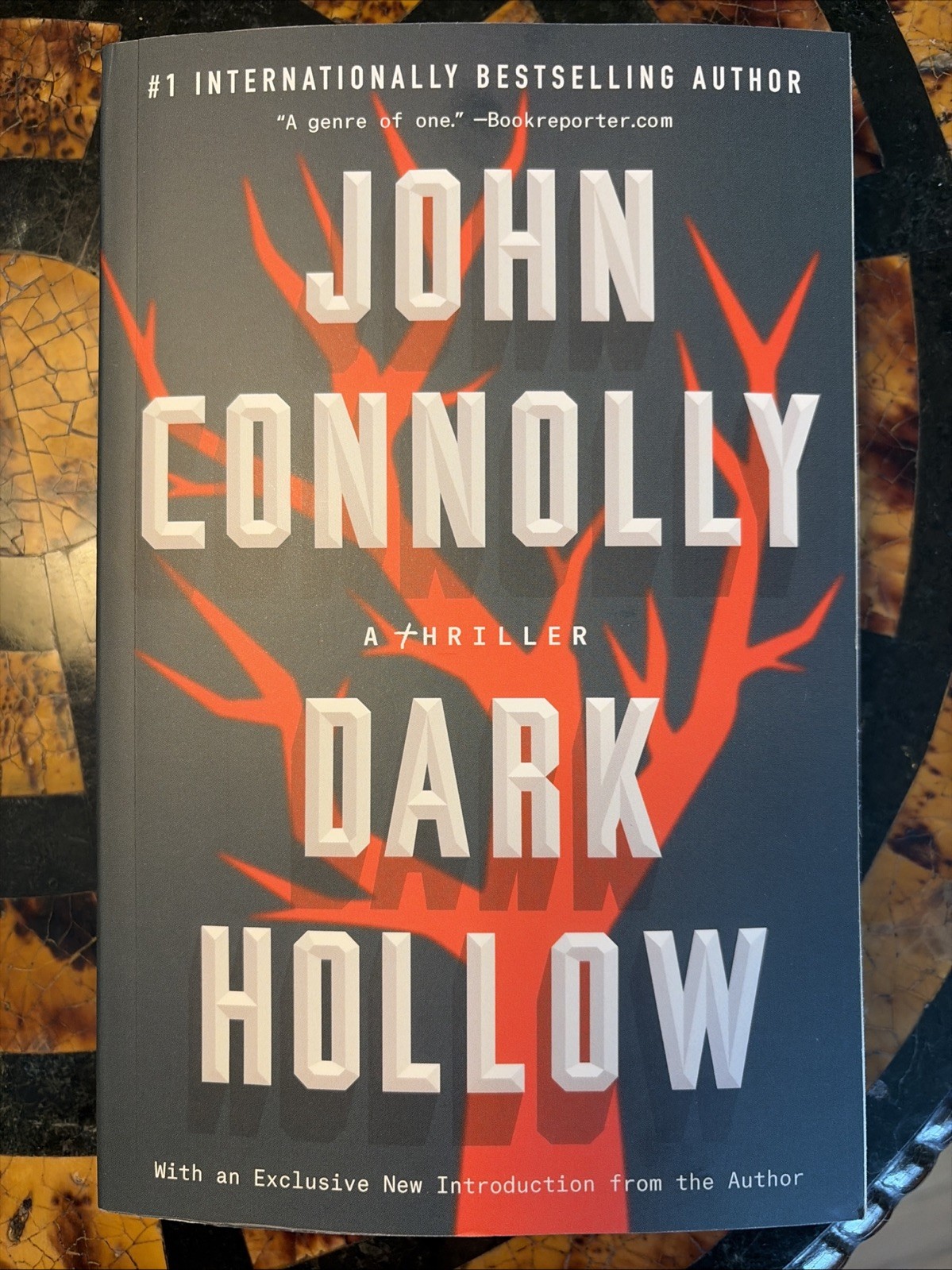 Dark Hollow: A Charlie Parker Thriller