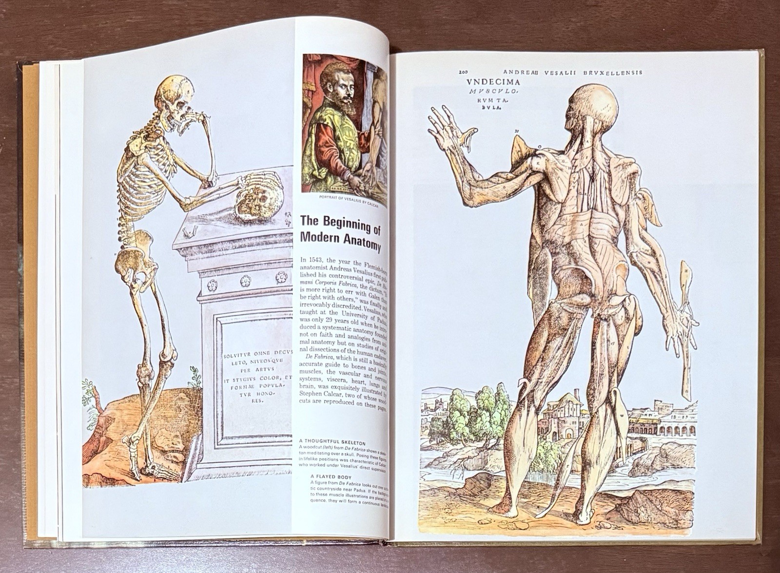 The Body by Alan E. Nourse, Time Life Science Library. Entertaining To Read Look