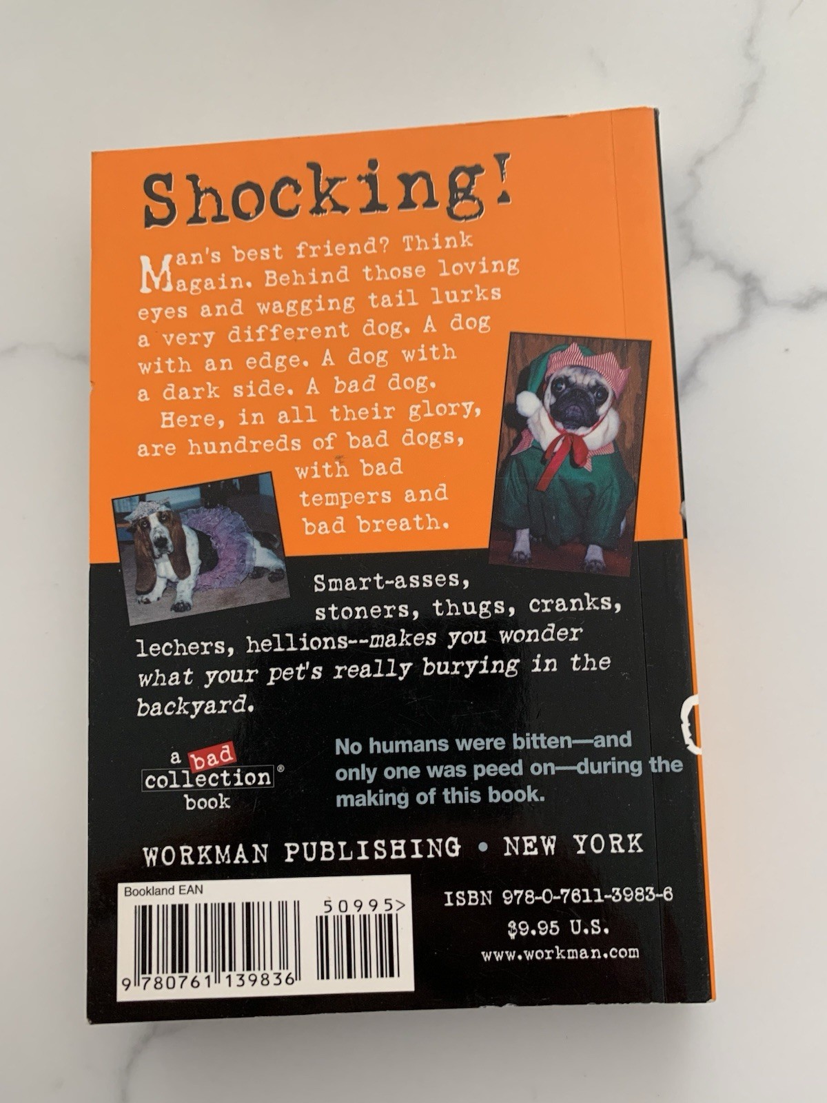 Bad Dog: 278 Outspoken, Indecent, and Overdressed Dogs by R.D. Rosen, Harry Pri