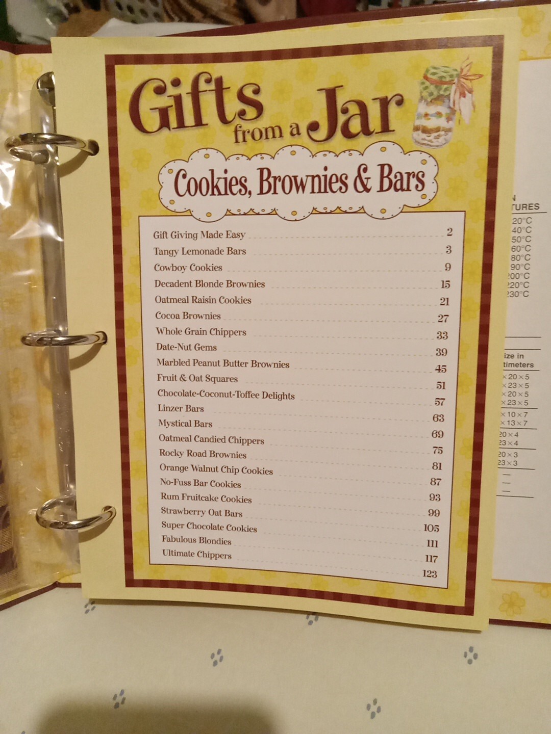 Gifts From A Jar “Cookies, Brownies & Bars” Complete With Raffi & Fabric Book