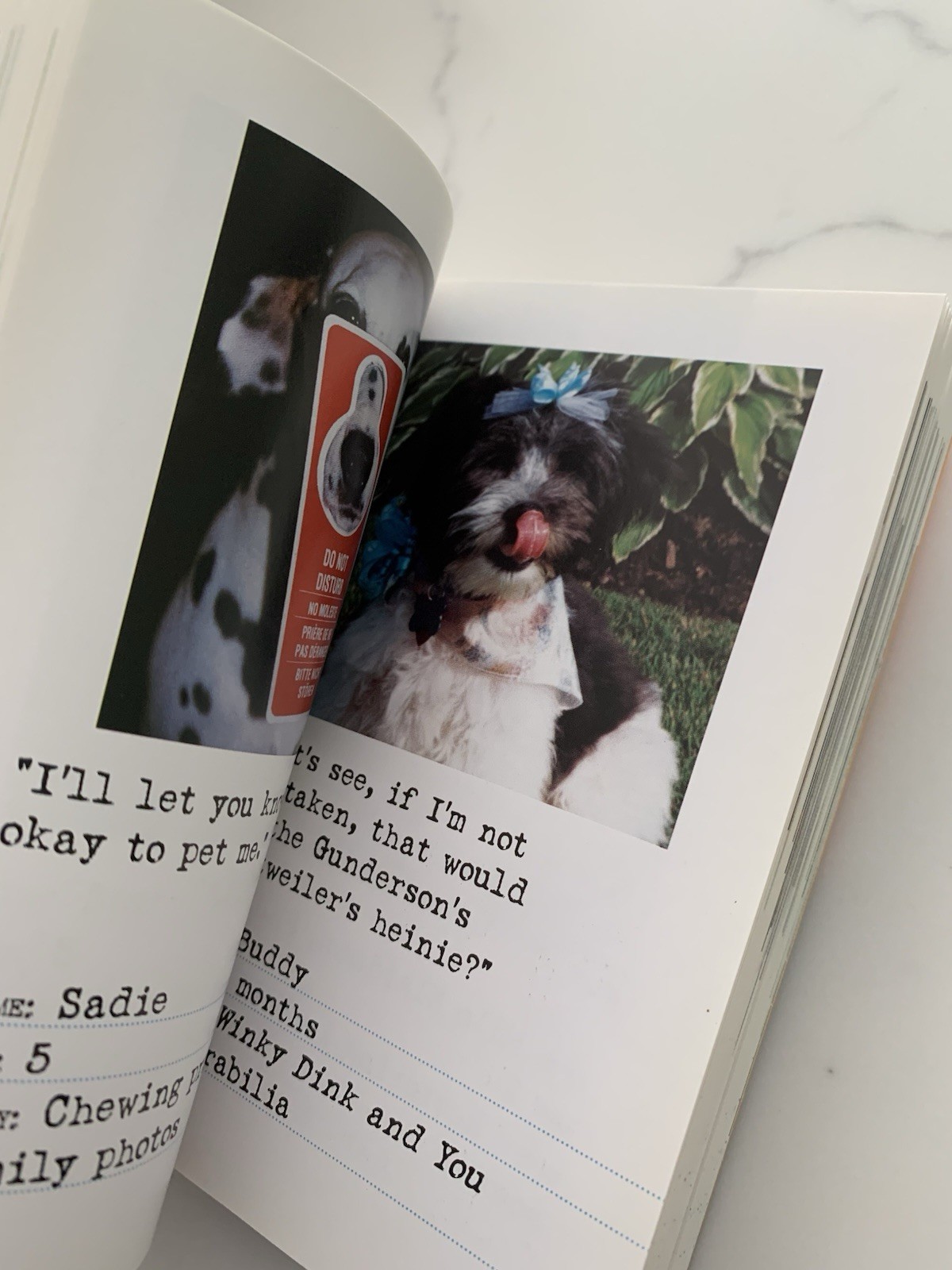 Bad Dog: 278 Outspoken, Indecent, and Overdressed Dogs by R.D. Rosen, Harry Pri