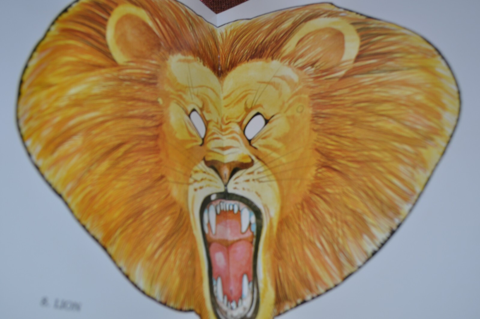 2 CUT AND MAKE ANIMAL MASKS IN FULL COLOR & COLOR ‘N CUT ANMAL MASKS BOOKS