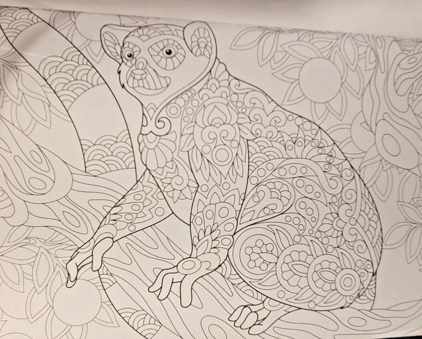 COLORS OF THE WILD Vol. 20 Adult Coloring Book With 47 Prints Ready To Frame!