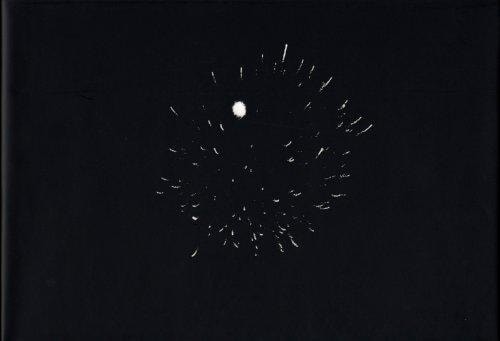 Photographs Ross Bleckner by Ross,Woody, Jack Bleckner (hardcover)