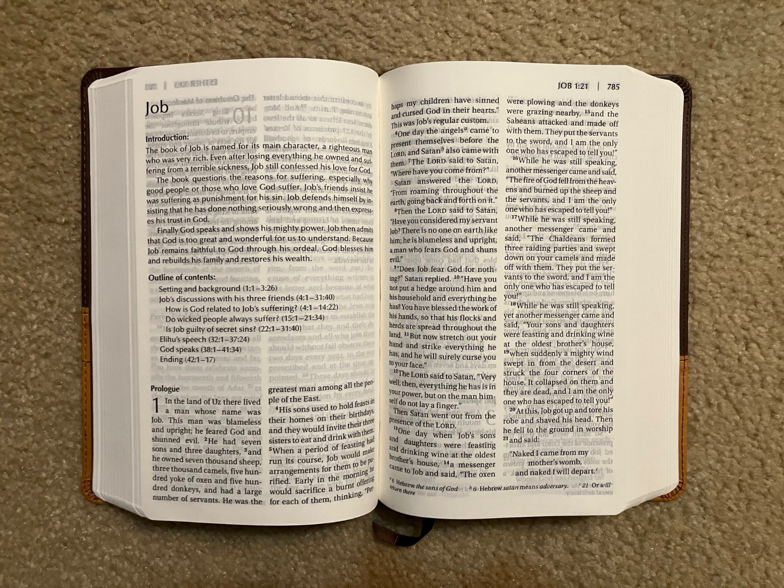 NIV Holy Bible Large Print Zondervan Brown DuoTone Leathersoft 2011