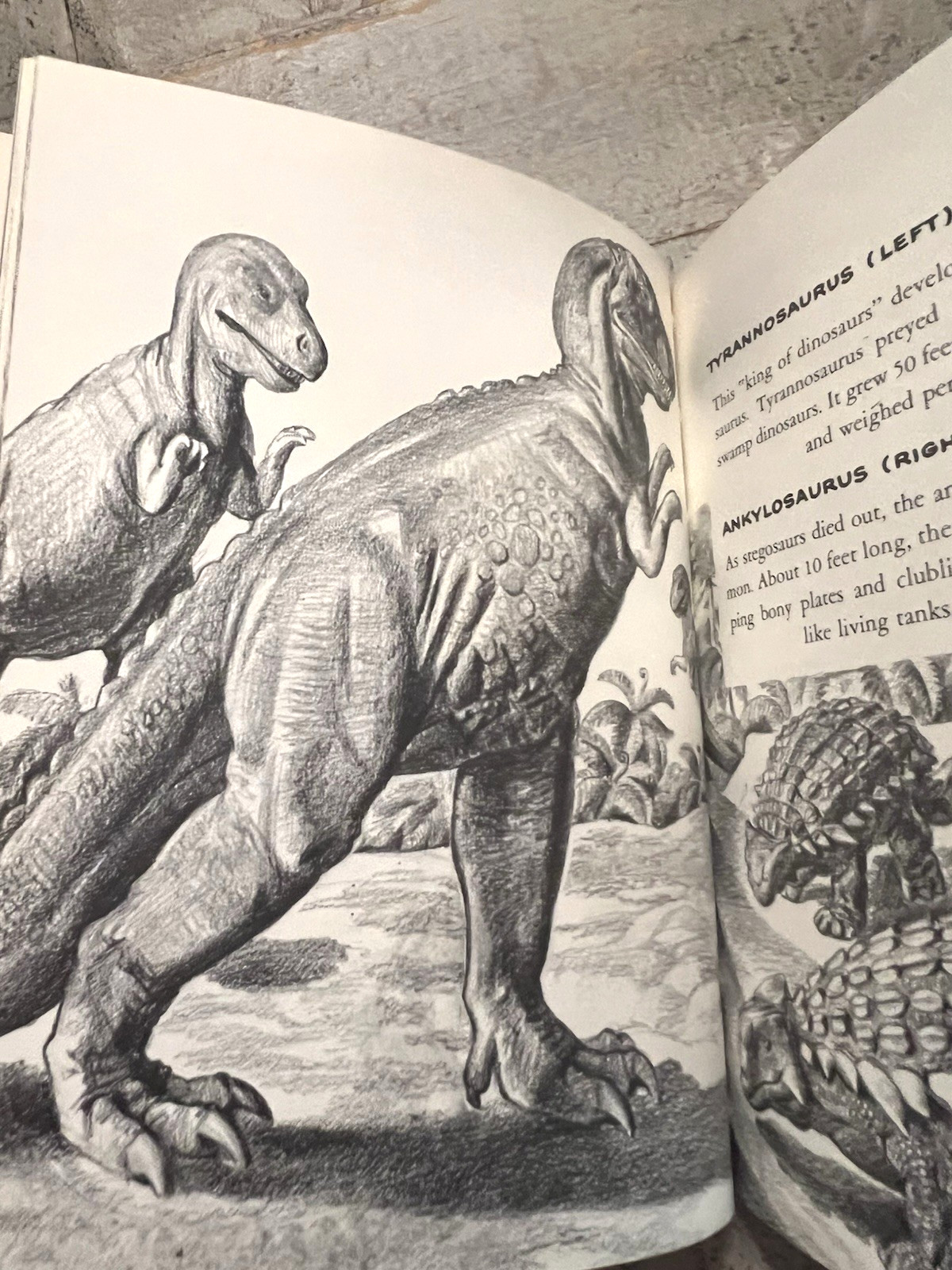 Dinosaurs by Herbert S. Zim Illus. by James Gordon Irving c.1976 Library Edition