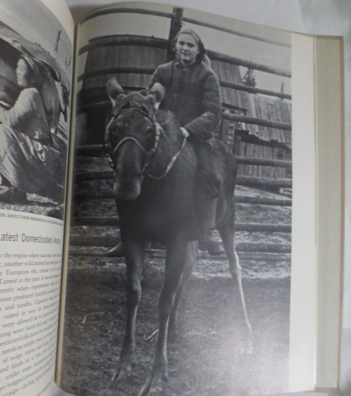 Life Nature Library Land and Wildlife of Eurasia 1967 198 PAGES