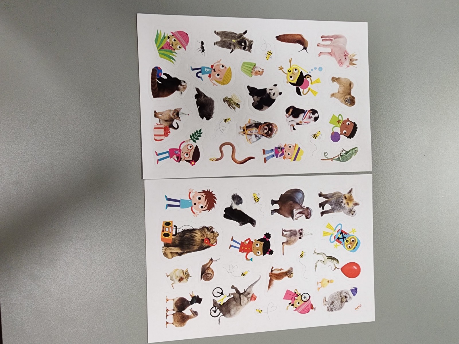 Animal Antics First Grade Reader Box Set: Scholastic Box or Slipcased