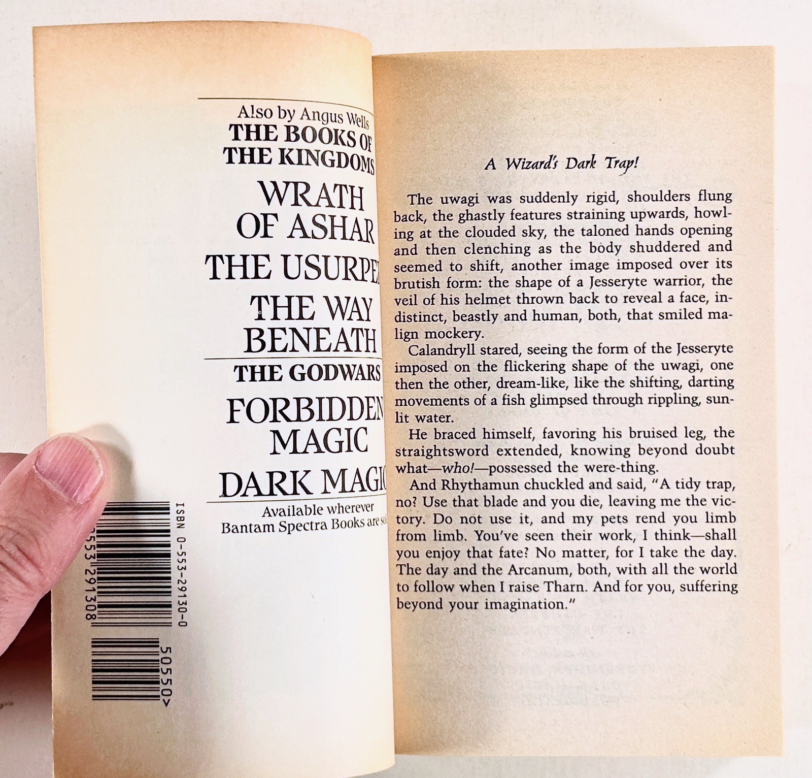1993 Angus Wells WILD MAGIC fantasy epic THE GODWARS BOOK 3 Bantam PB 1st thus