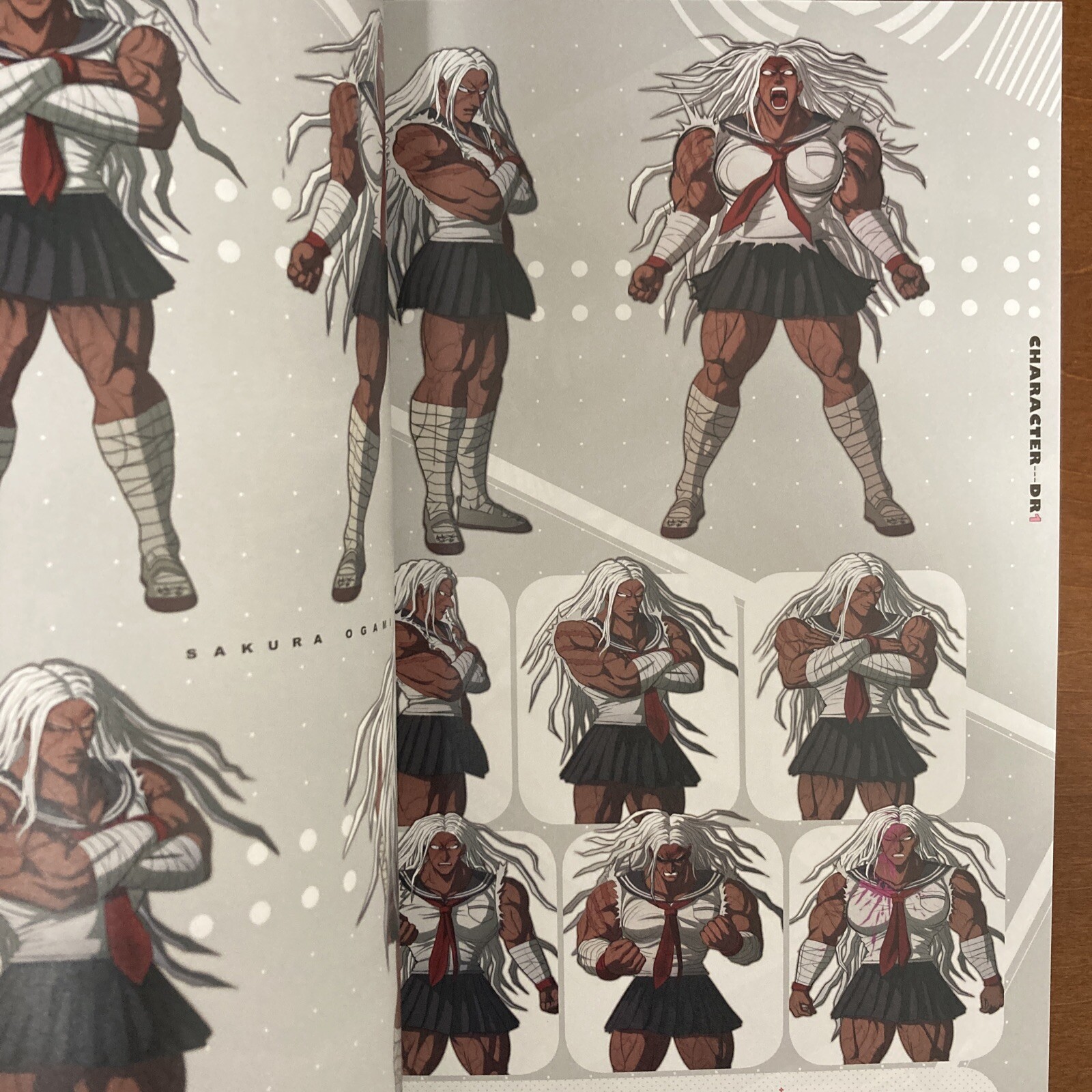 Danganronpa Series 10th Anniversary Collection Danganronpa Decade Art Book