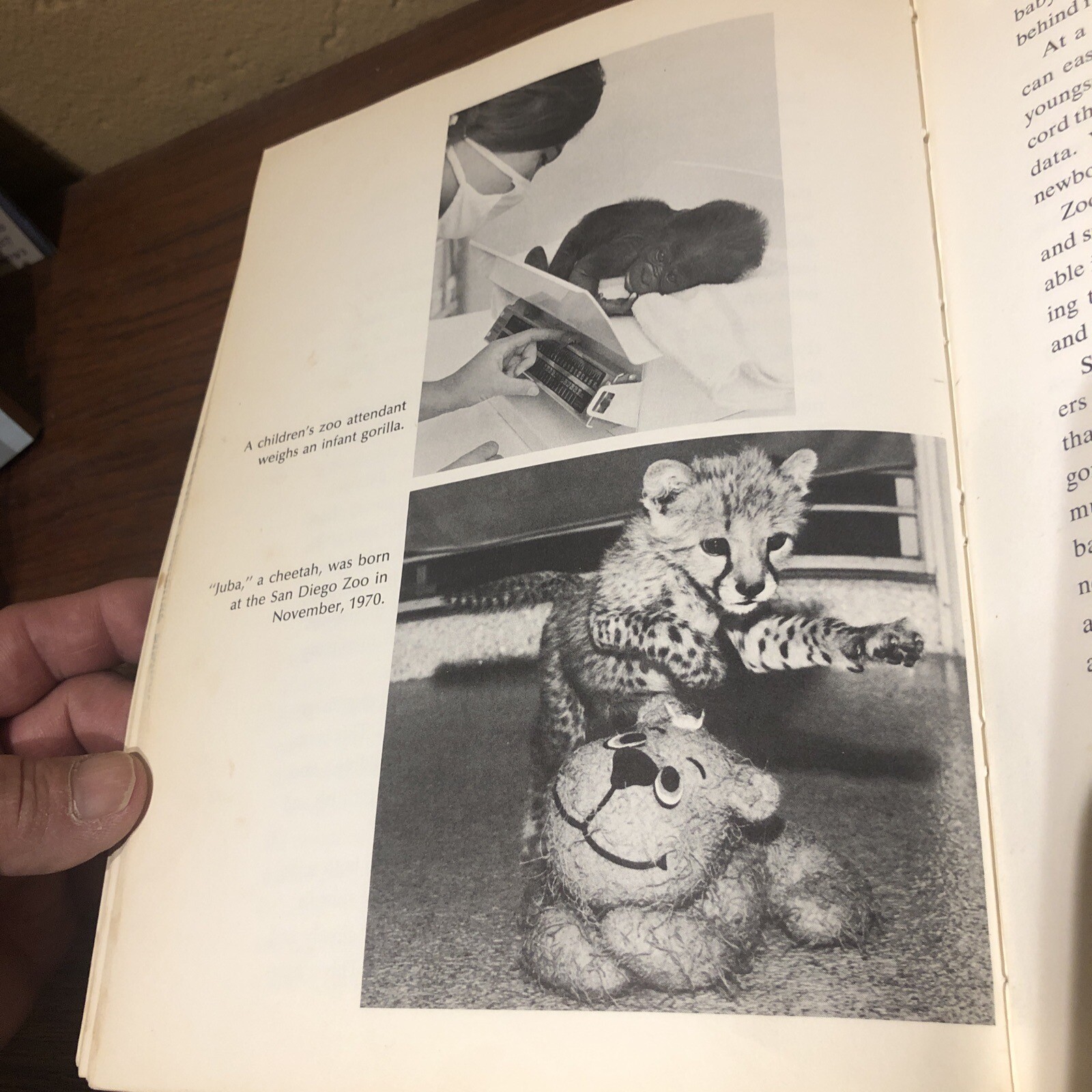 ‘OUR CAPTIVE ANIMALS’- J.J. McCOY-1971-RARE 1ST EDITION HC/DJ- EXOTIC & DOMESTIC