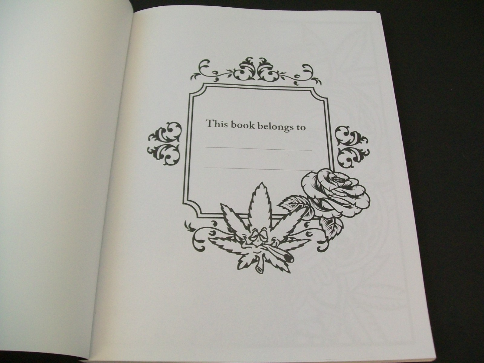 90’s Cartoon Stoner ADULT Coloring Book Paperback Made in USA 2023