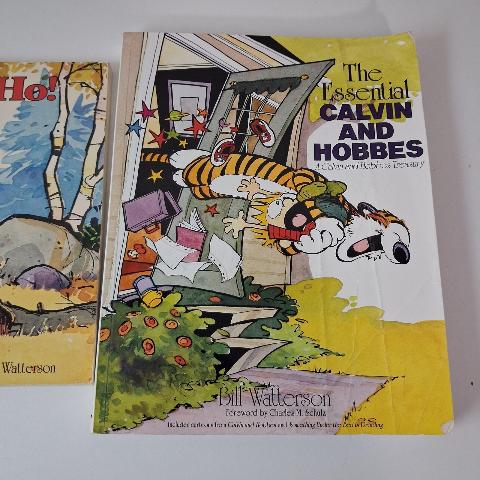 Calvin And Hobbes Books Lot 2 Yukon Ho Essential PB Bill Watterson Comics Humor