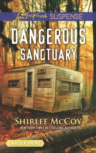 Dangerous Sanctuary by McCoy, Shirlee